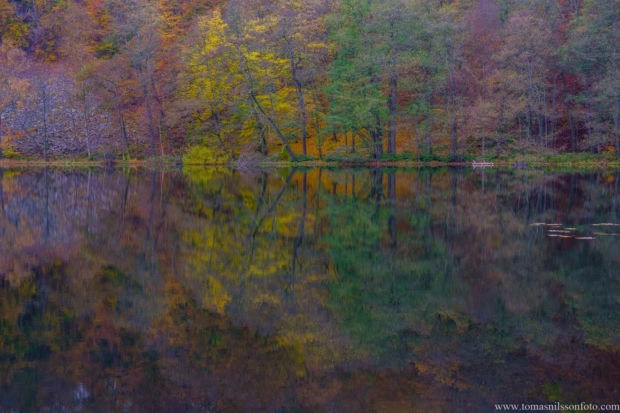 Colors by the lake