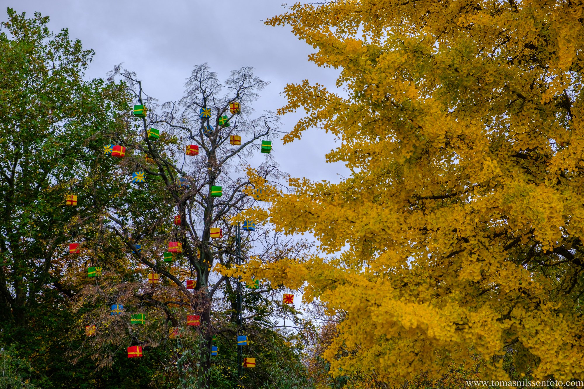Between the Seasons (Malmö, Sweden, 2024)