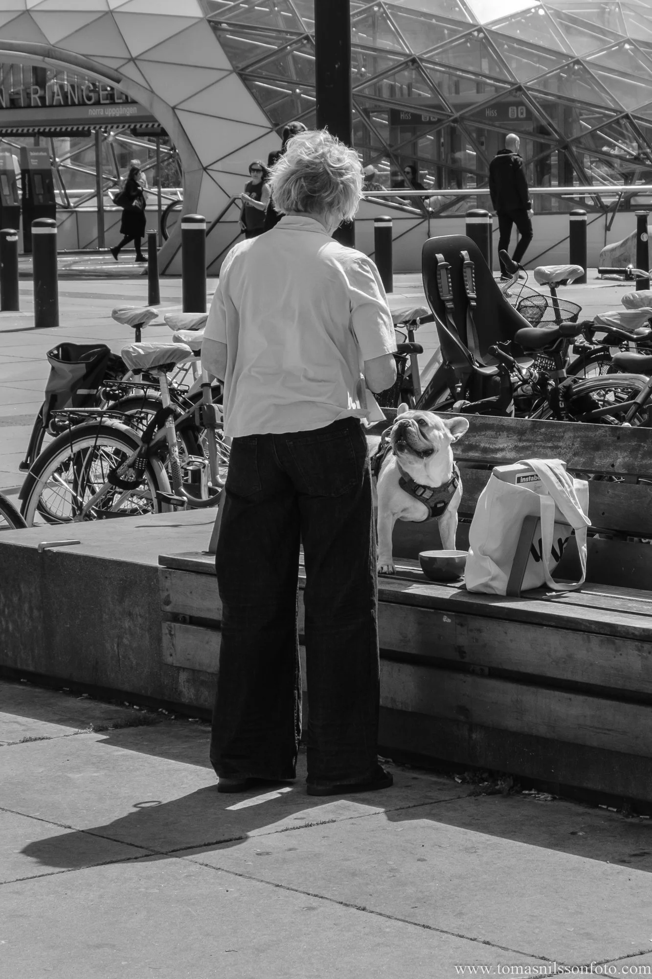 Yes Mama, I am watching that treat! (Malmö, Sweden, 2025) (Copy)