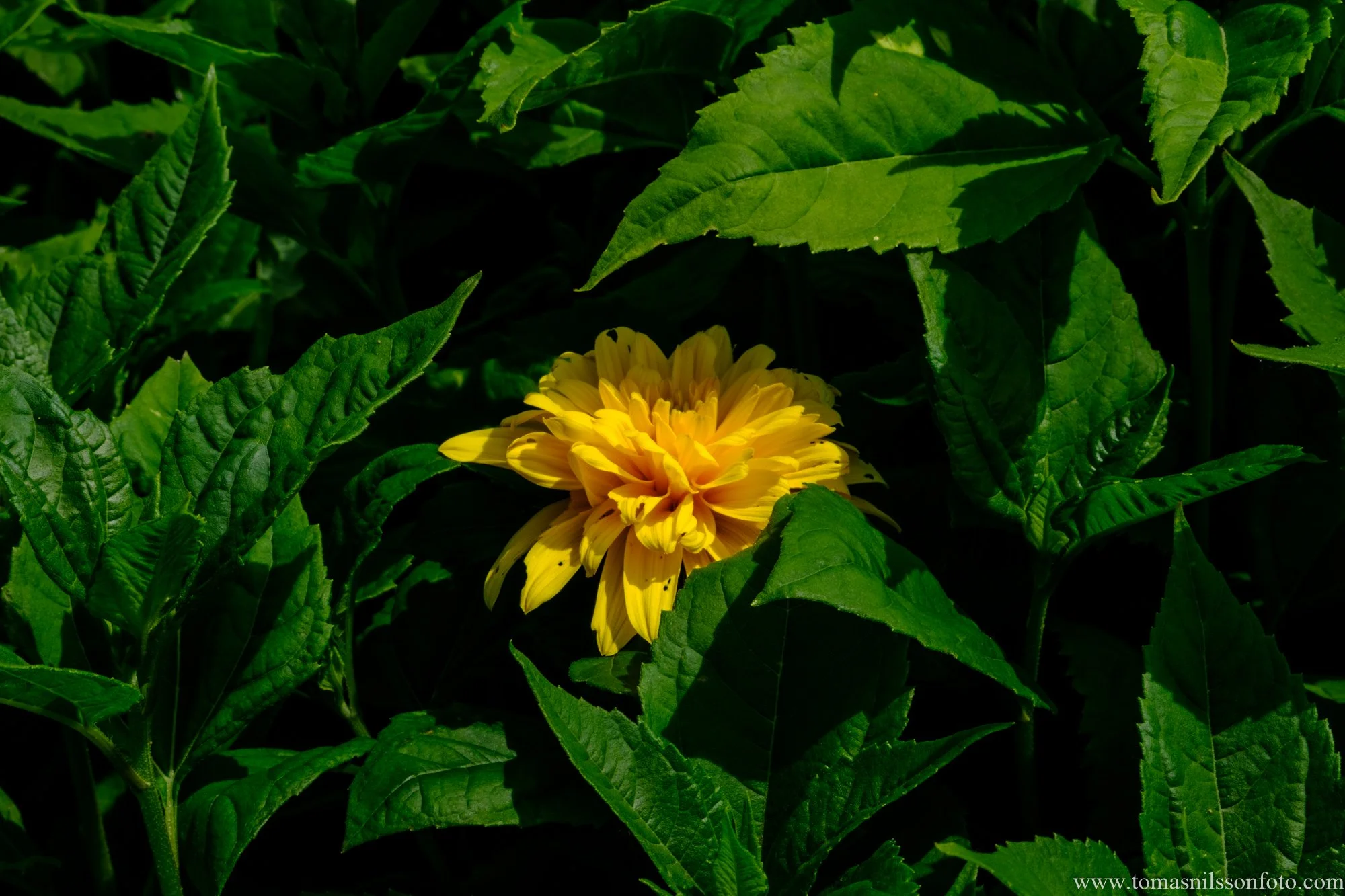 Get closer, find more colors!