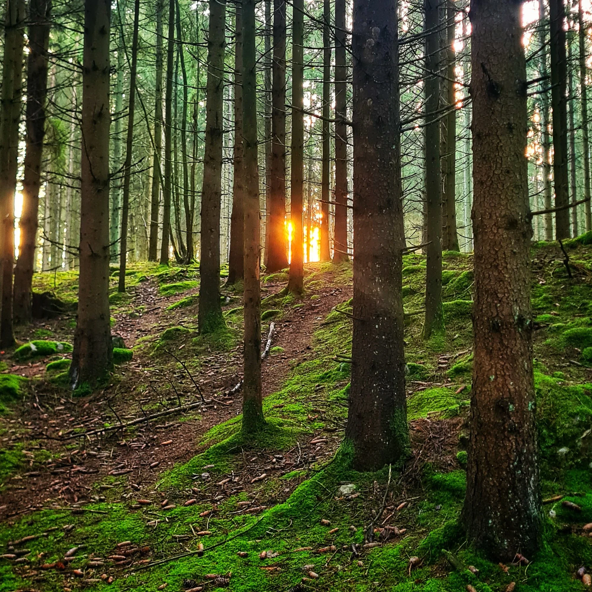 2025 - looking back at a year