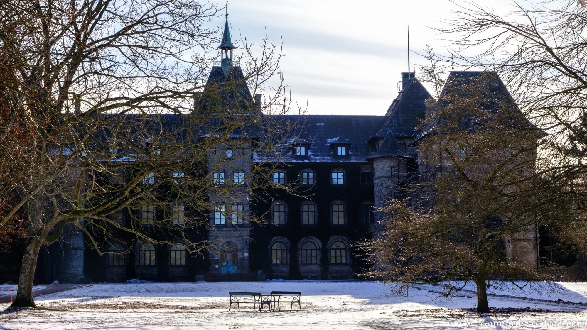 Snow and sun in the park