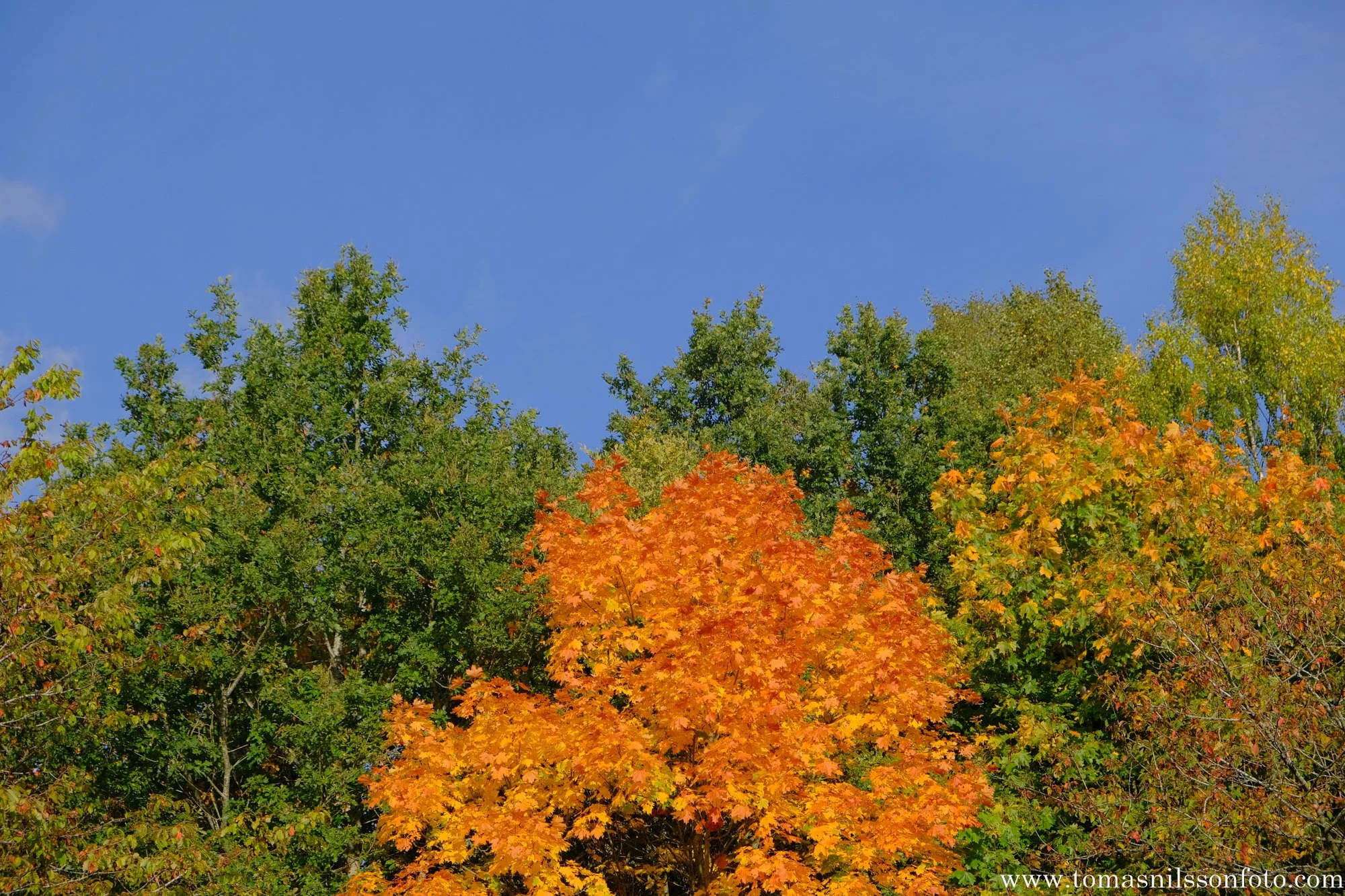 The colors are changing again