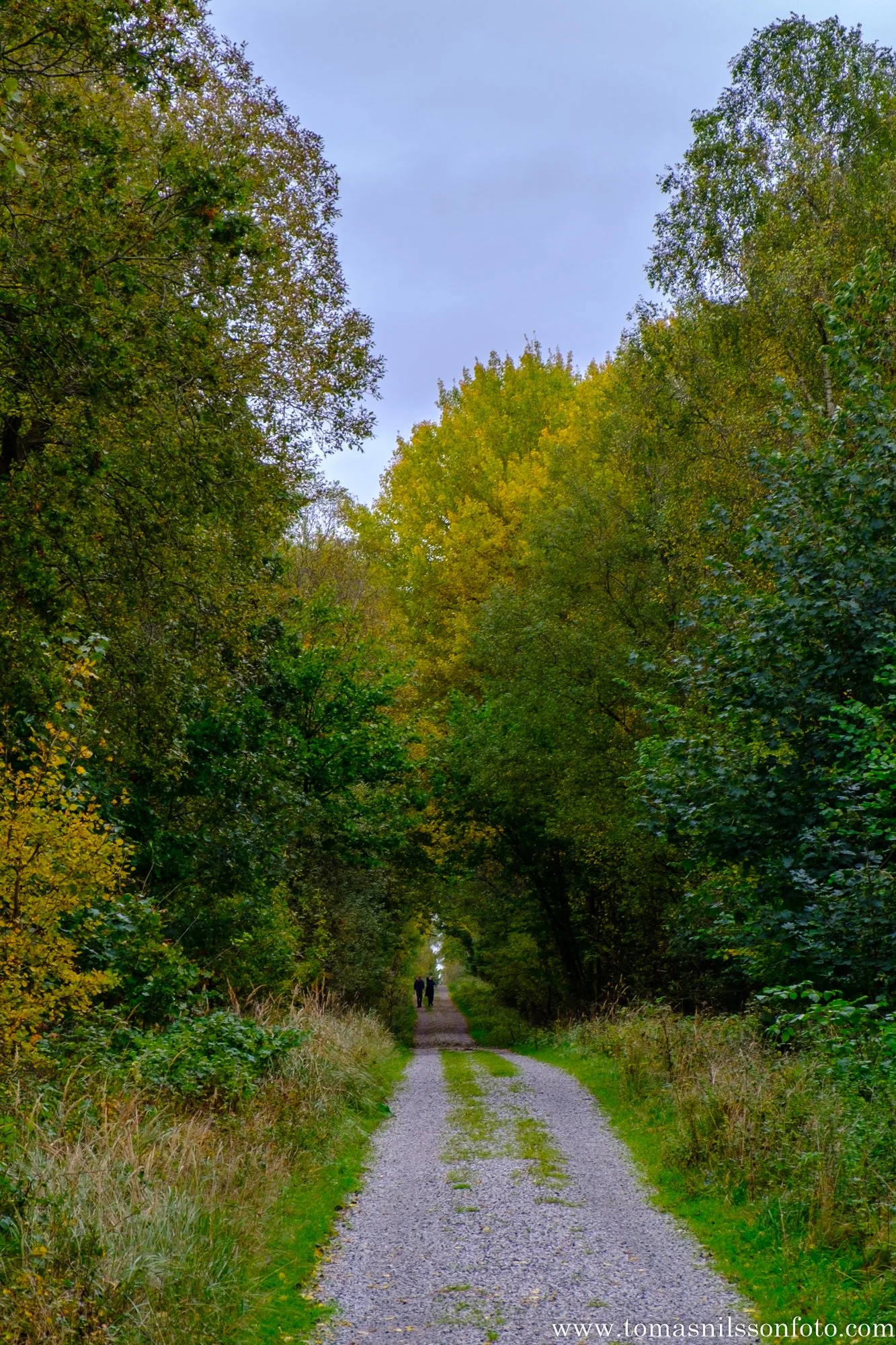 Down the path (Skrylle, Sweden, 2025)