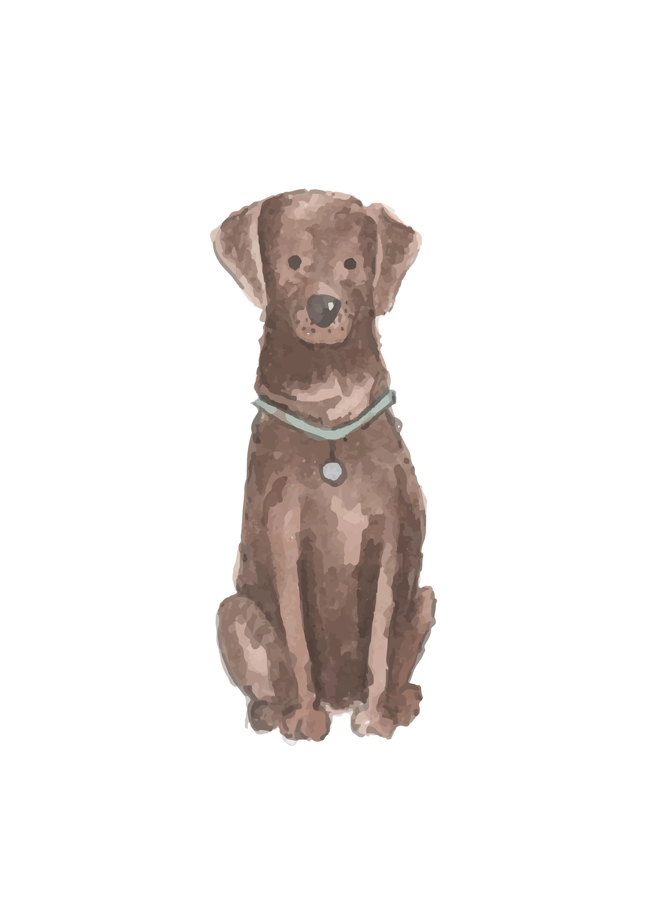 show me a chocolate lab