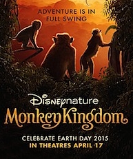 Monkey Kingdom: Monkeying around with an Expert