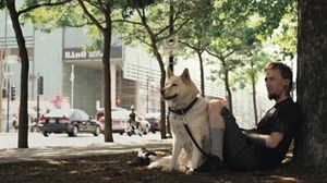 A Dog's Life