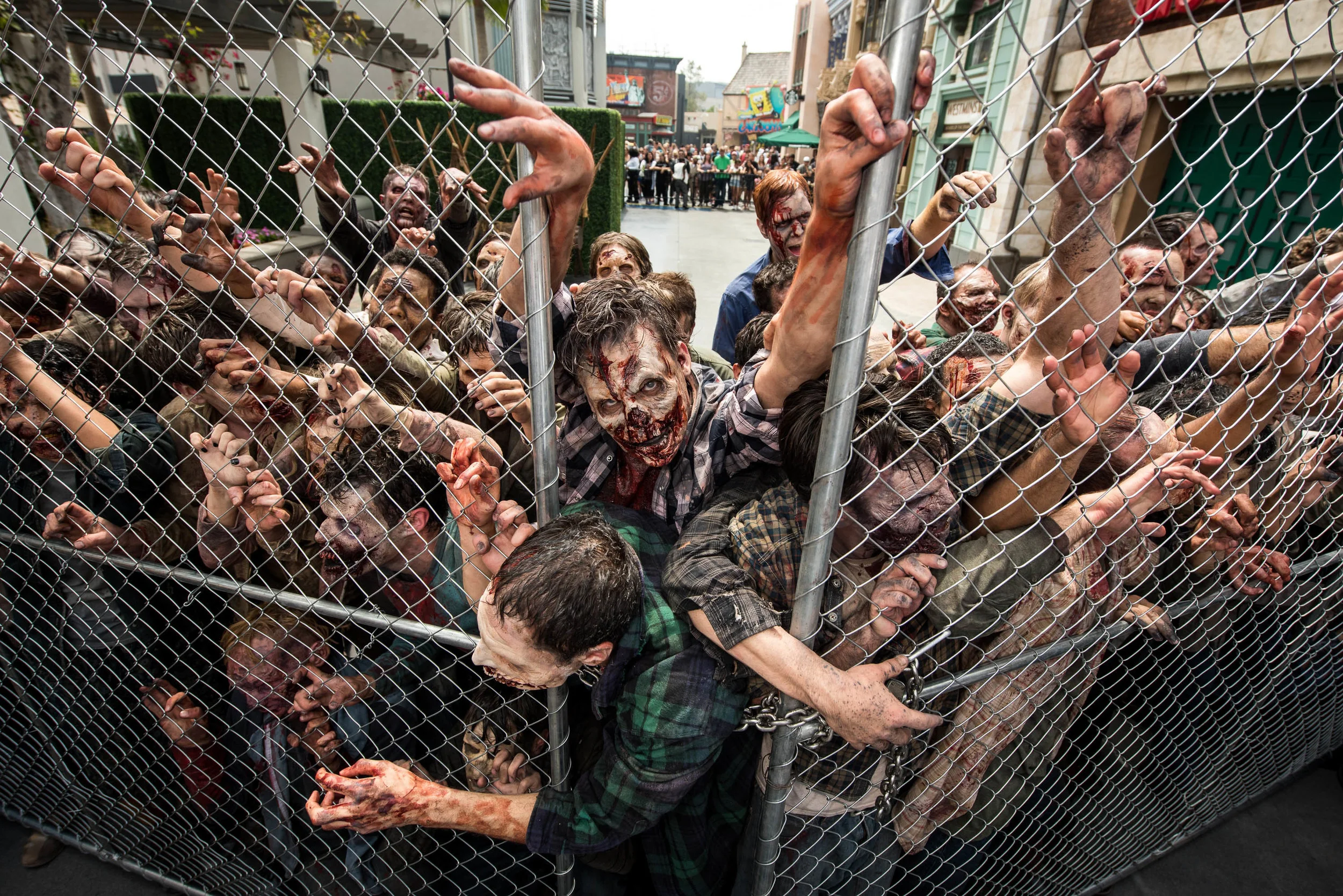 Walkers-TWD at USH-Photo Credit Michael Baker_01.jpg