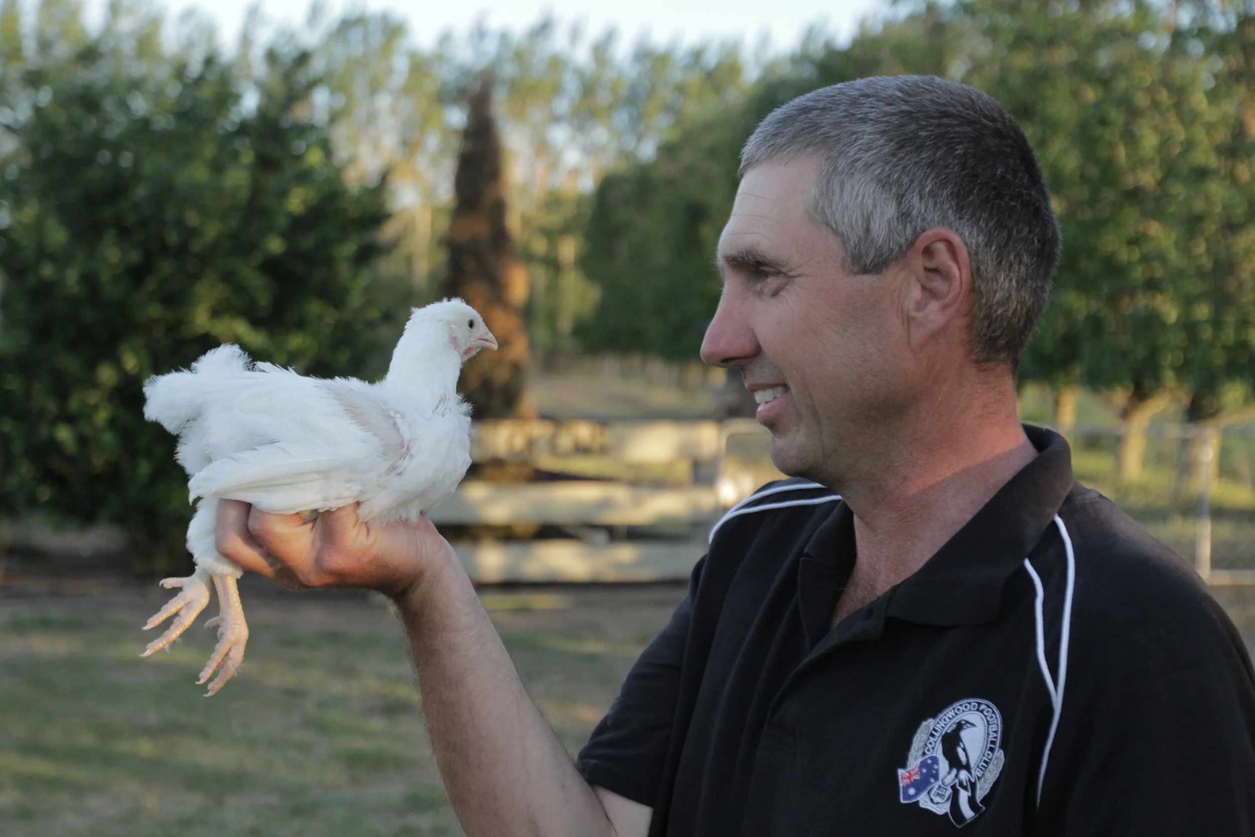 Pecking Order