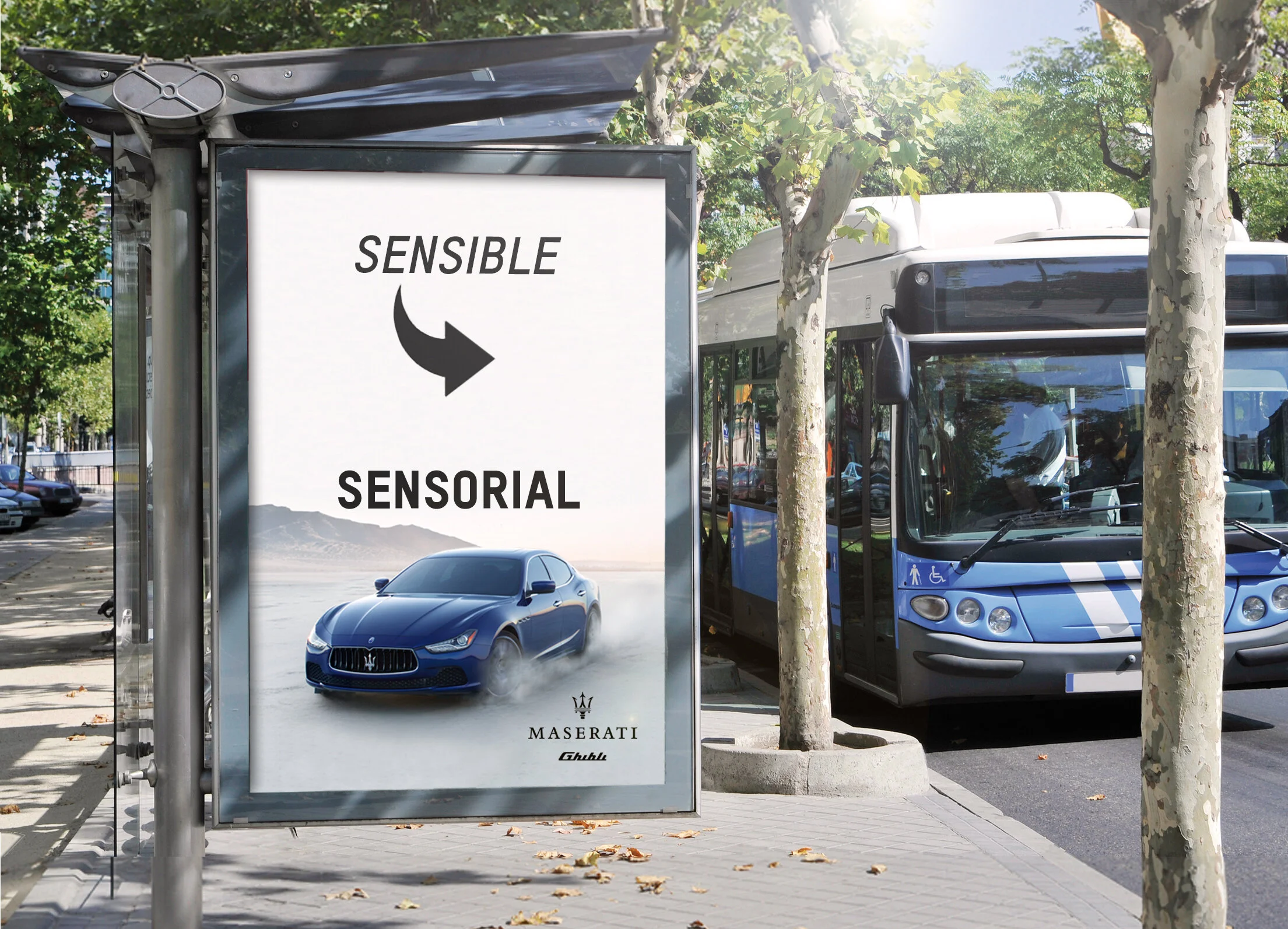 busshelter_herd 10.30c.jpg