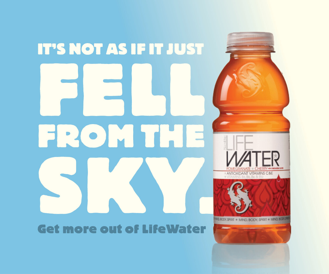 sky_lifewater_banner 3d.jpg