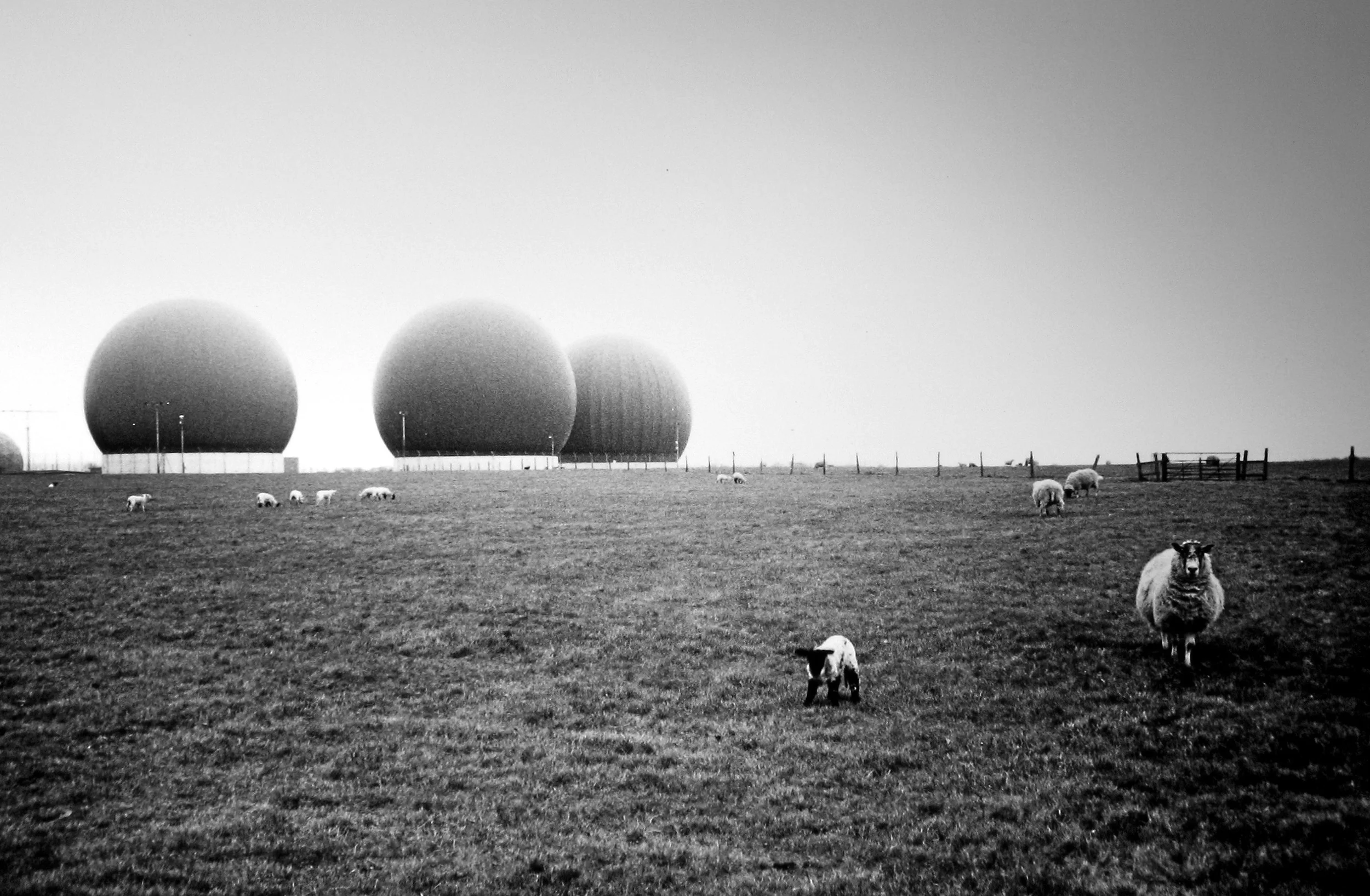 THE SHEPHERD #2, U.S. MILITARY BASE, UNITED KINGDOM