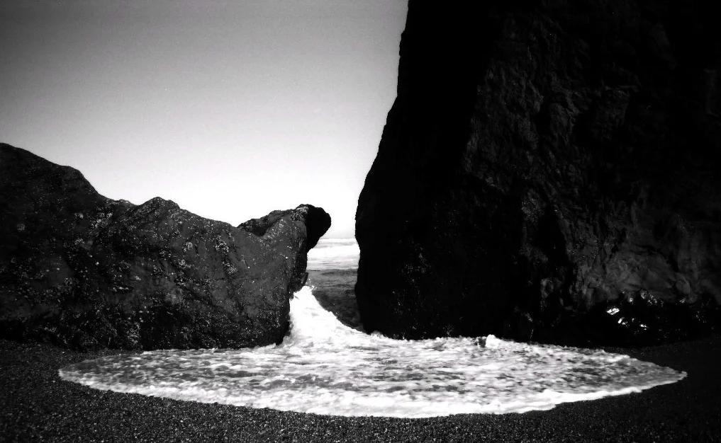 BIRTH, PACIFIC COAST, CALIFORNIA