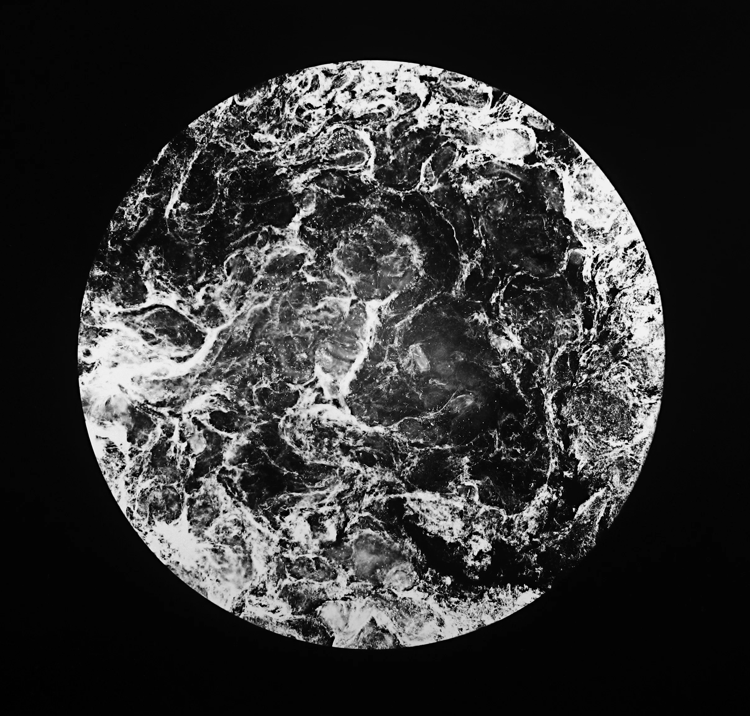 RECREATING THE WORLD WITH SEVEN DAYS OF MY OWN SEMEN, PHOTOGRAM