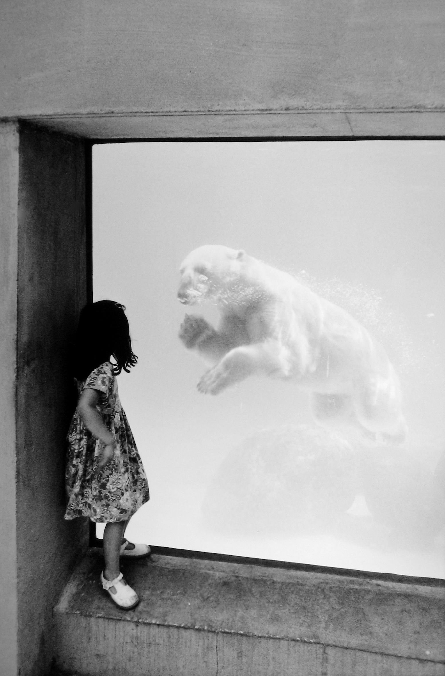 TWO ANGELS SAYING HELLO, CHICAGO, ILLINOIS