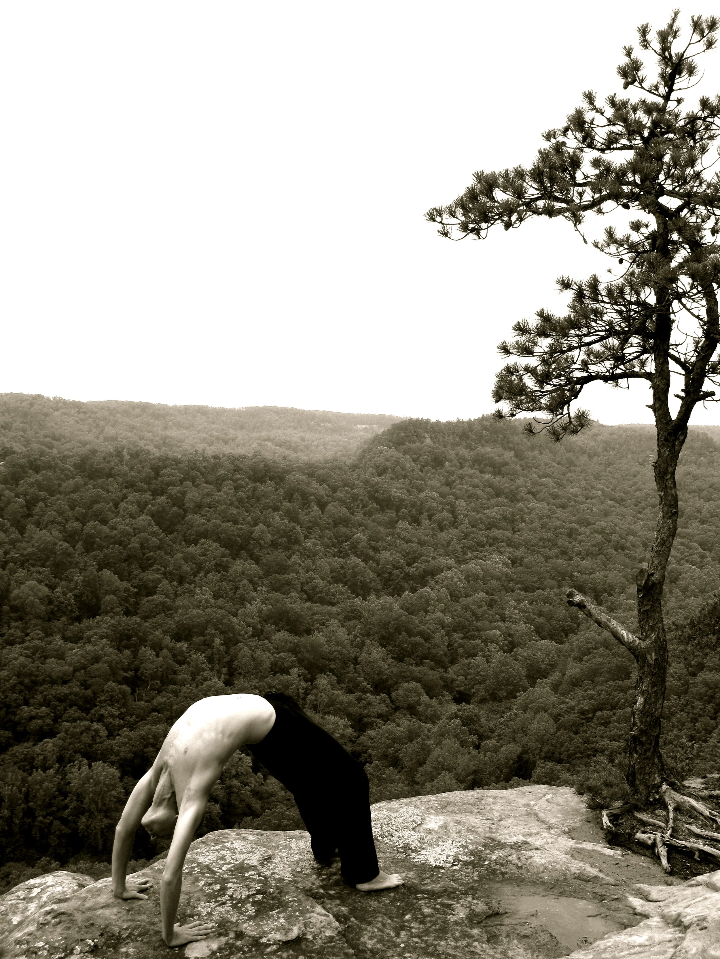 BRIDGE, NATURAL BRIDGE, KENTUCKY