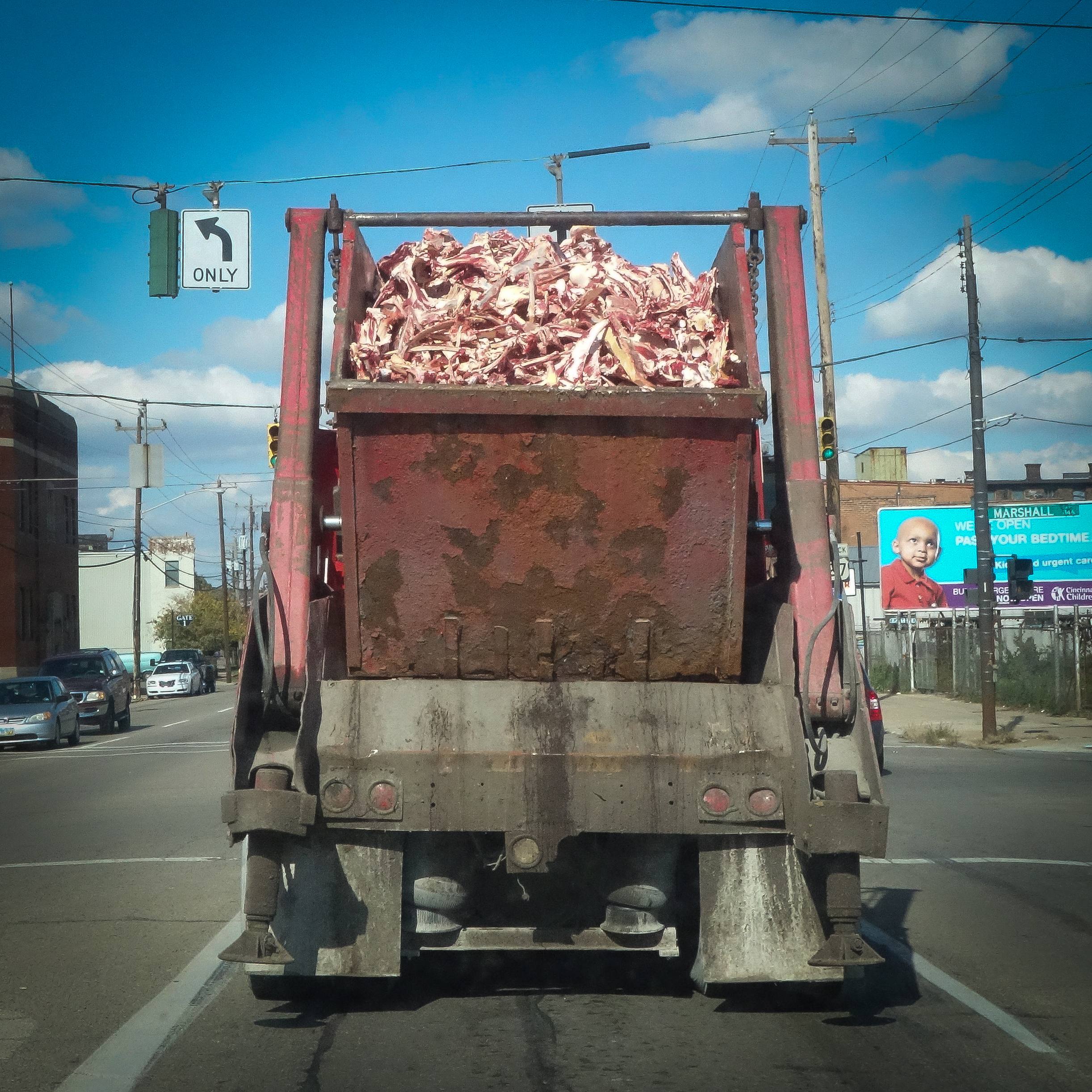 THE BACK OF A DUMP TRUCK HAULING ANIMAL REMAINS FROM A SLAUGHTERHOUSE, CINCINNATI, OHIO 2013