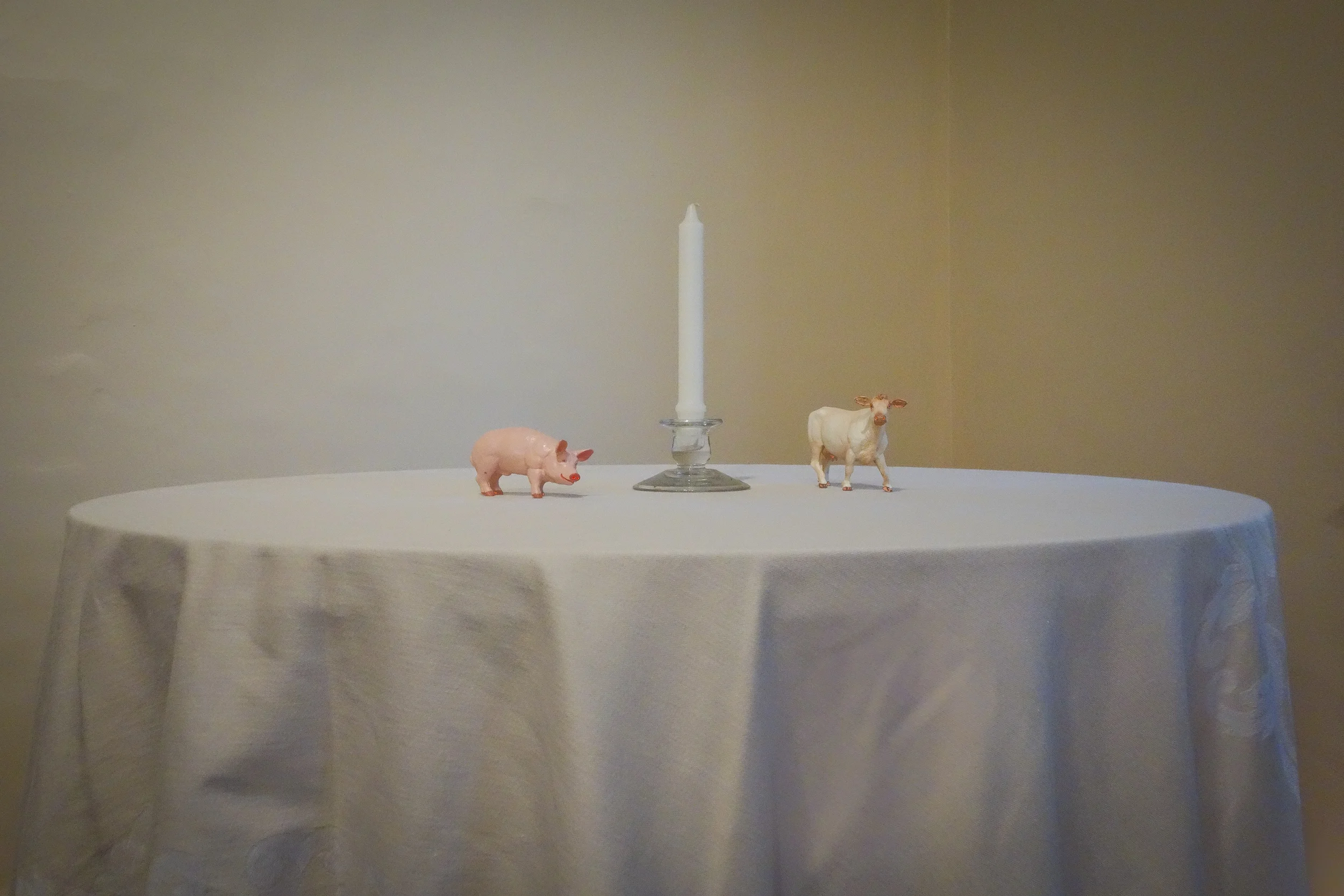 MR. PIG AND MRS. COW ARRIVING AS THE NOBLE GUESTS OF HONOR FOR AN INTERNATIONAL DINNER PARTY AT THE HARRIET BEECHER STOWE HOUSE 2013