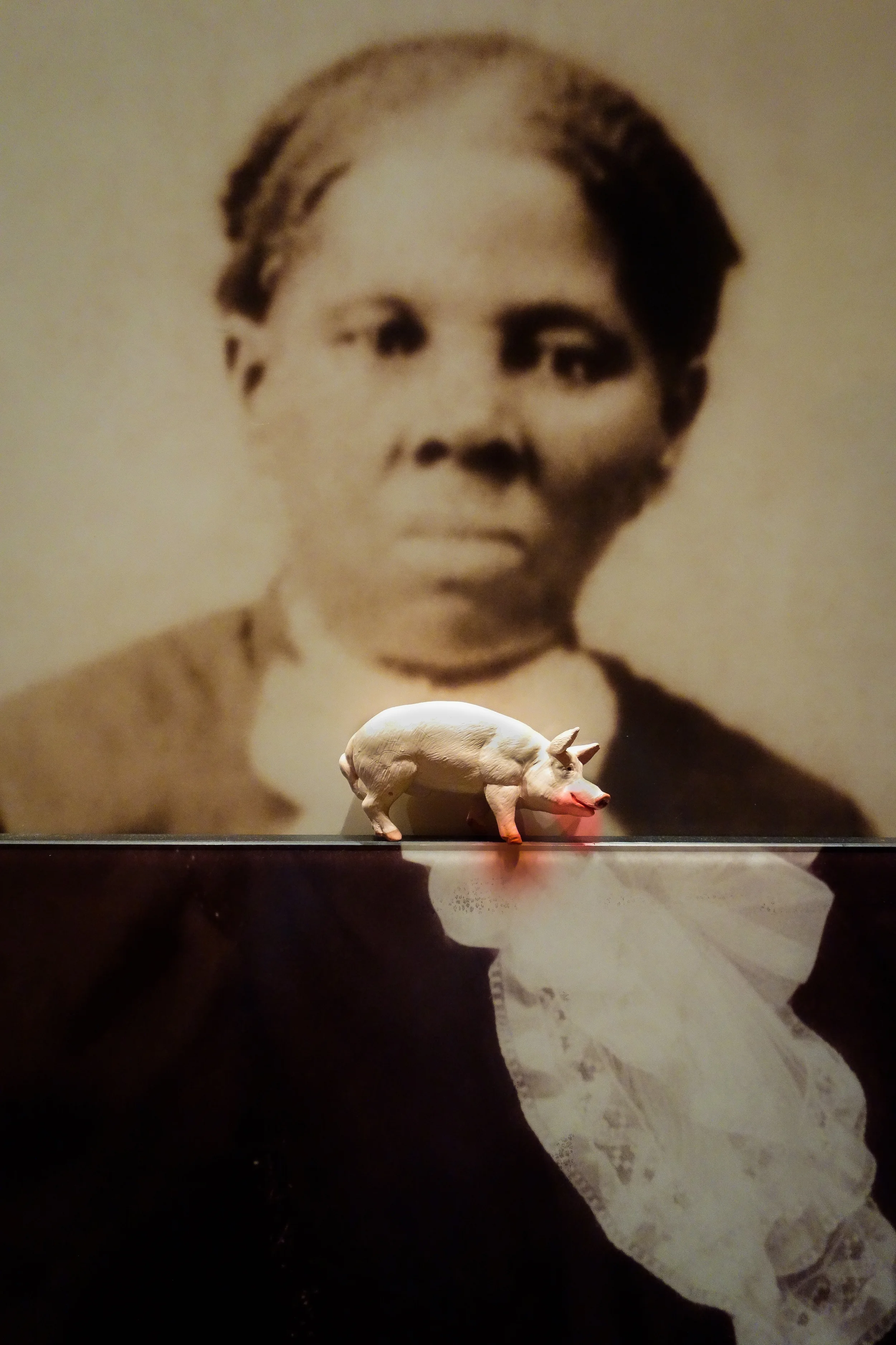 THE SUDDEN APPEARANCE OF A BBQ STAIN ON MS. HARRIET TUBMAN'S BIB 2013
