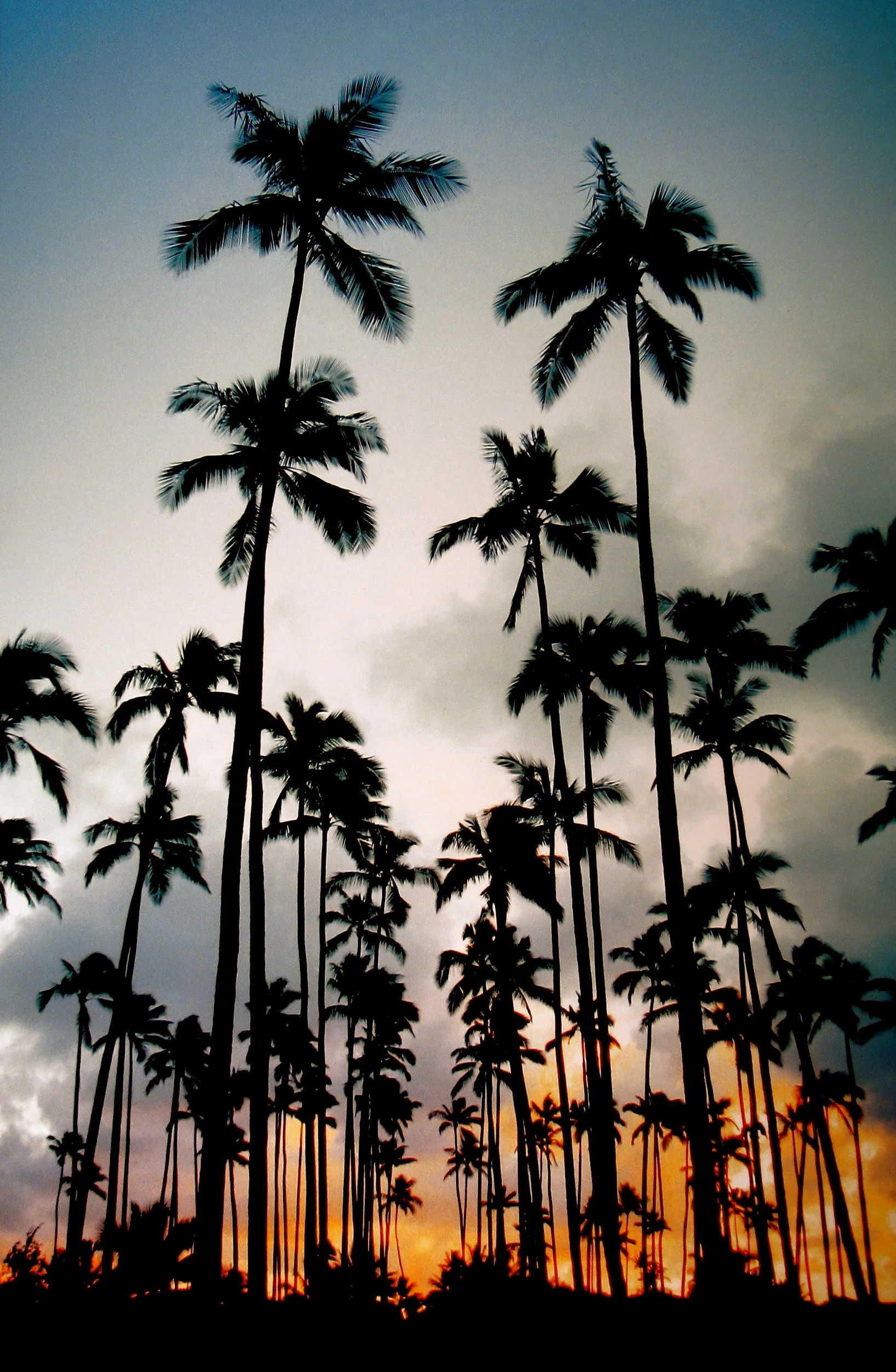 COCONUT CATHEDRAL, KAUAI, HAWAII