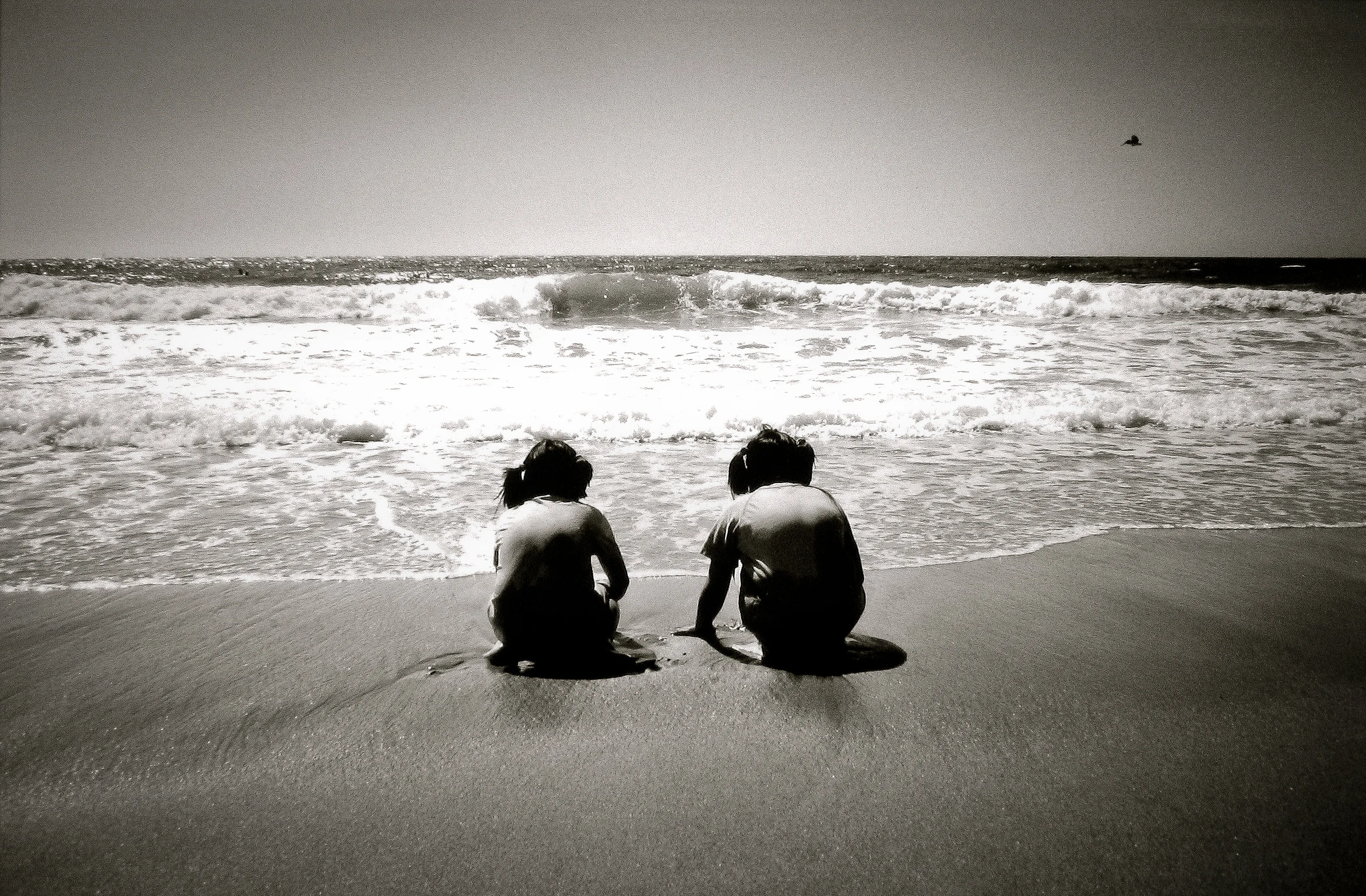 TWINS, MARIN, CALIFORNIA
