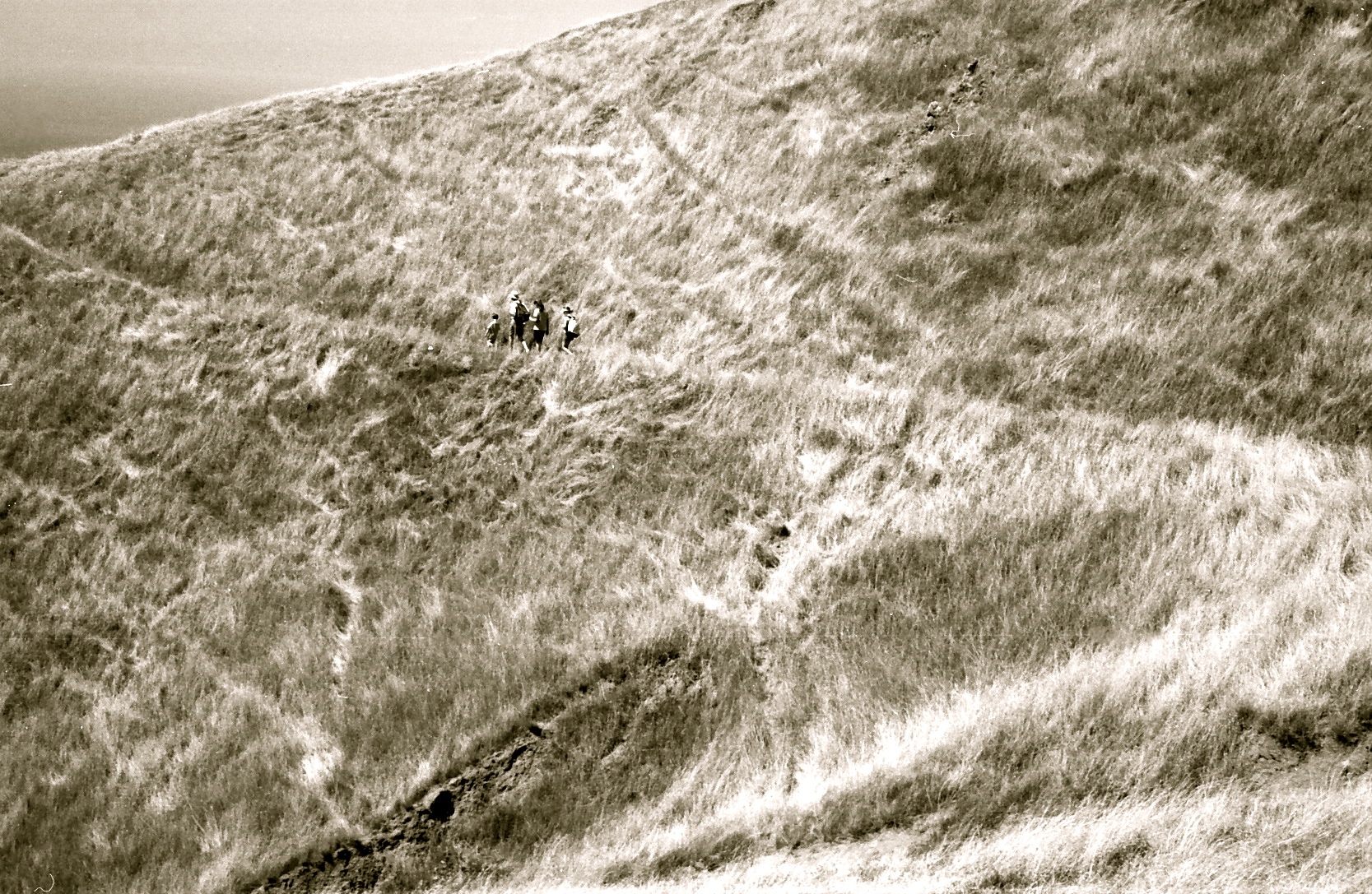 EARTH ANIMAL, MARIN, CALIFORNIA