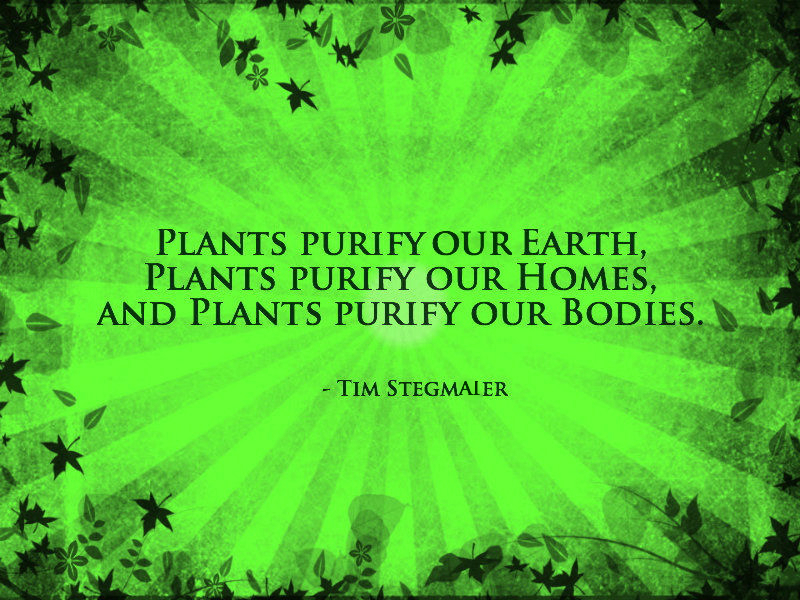 Plants.jpg
