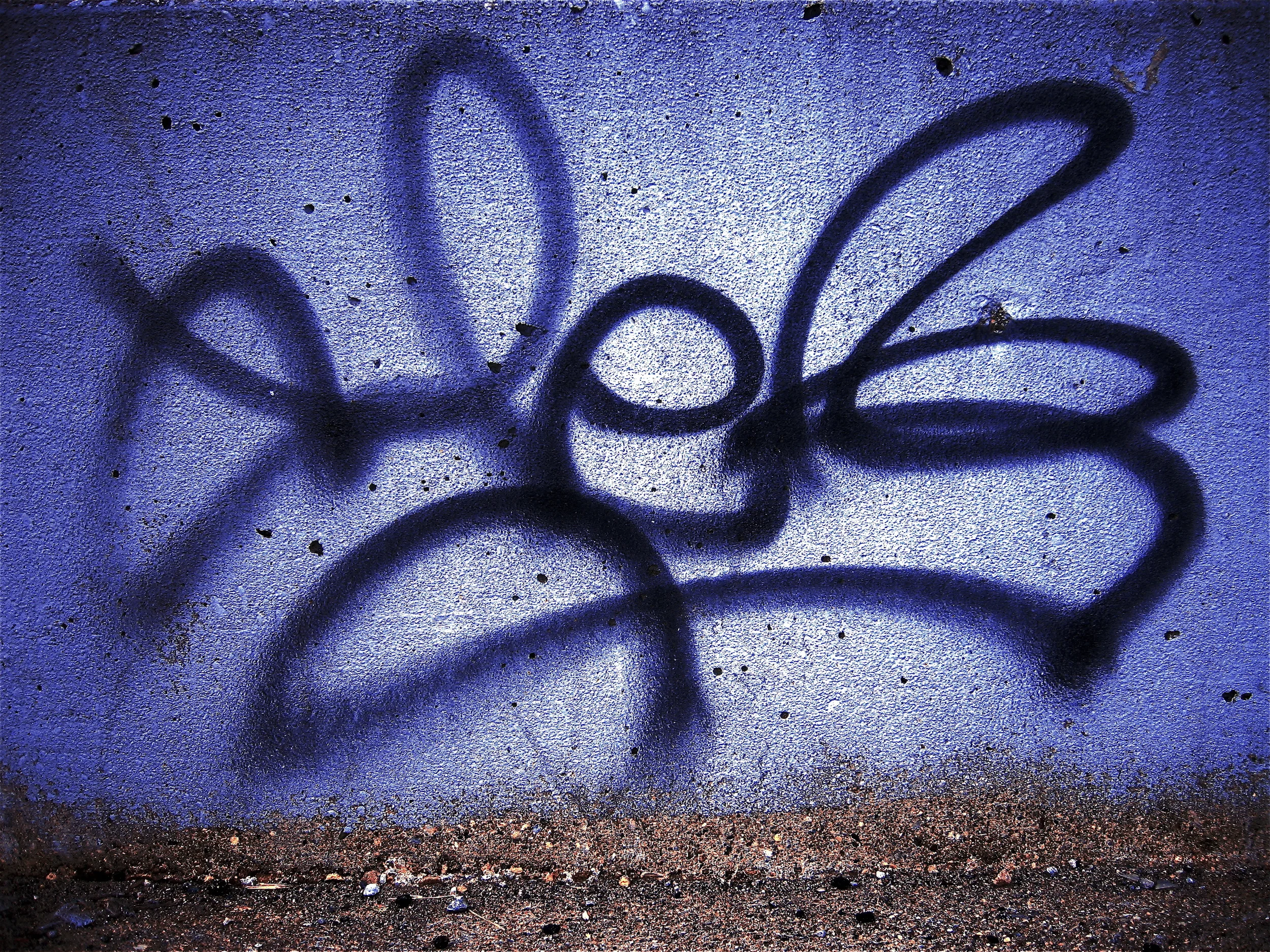 GREY FLOWER, WALNUT HILLS