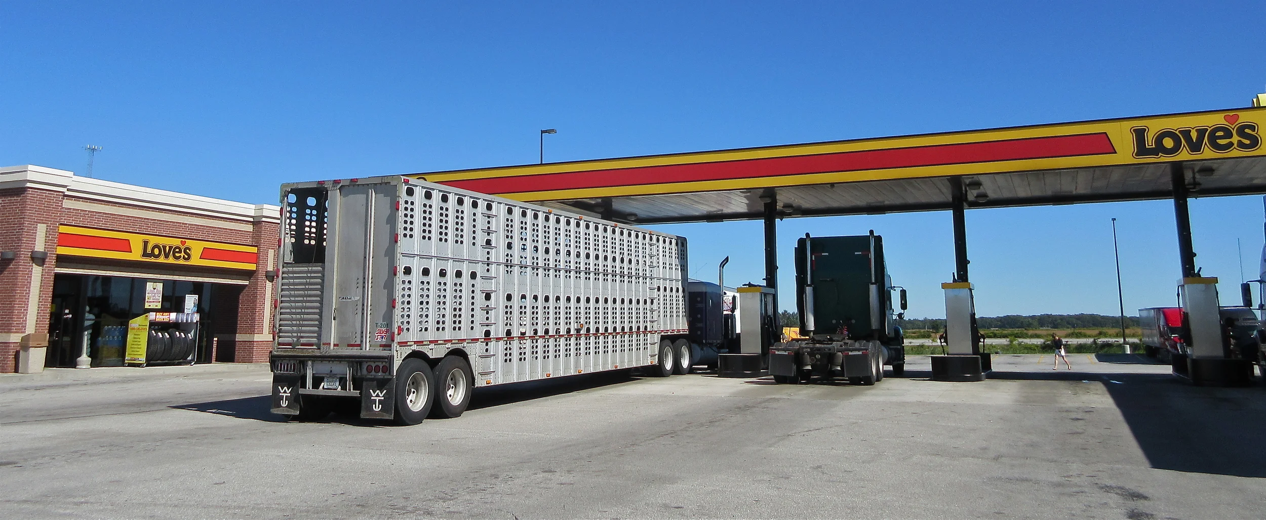 I made this panorama picture on the road home last week. I feel fortunate to have lived in America for 48 years with a real German last name. It has always loosely associated me with the German Holocaust, and it has helped me to see our world's present animal holocaust quite clear. 
