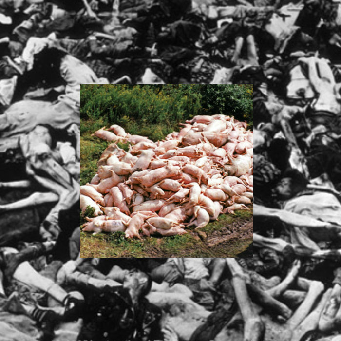 THE HOLOGRAPHIC HOLOCAUST