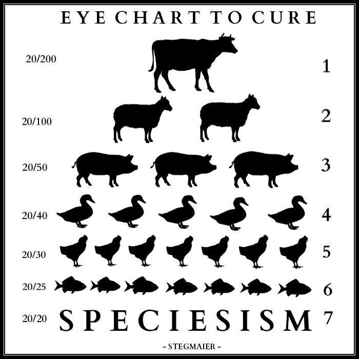 SPECIESISM EYE CHART FINAL.jpg