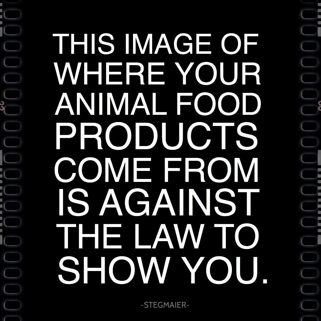 This Image.jpg