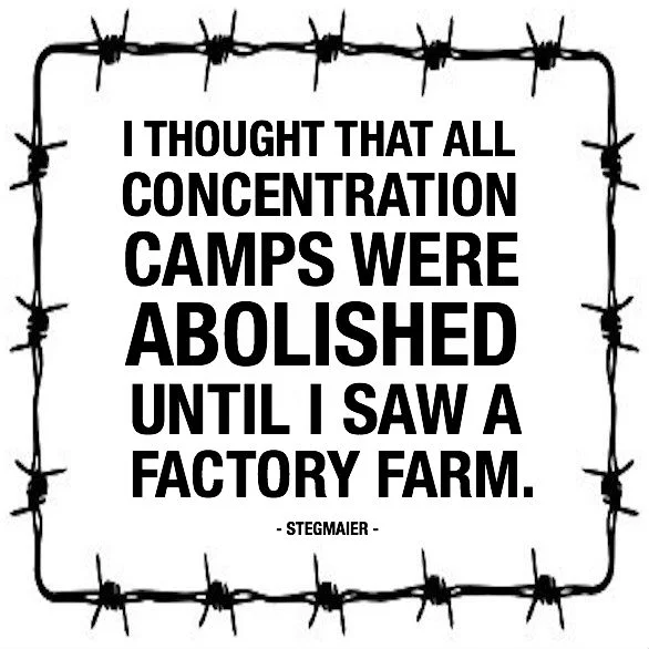 CONCENTTRTION CAMPS FINAL.jpg