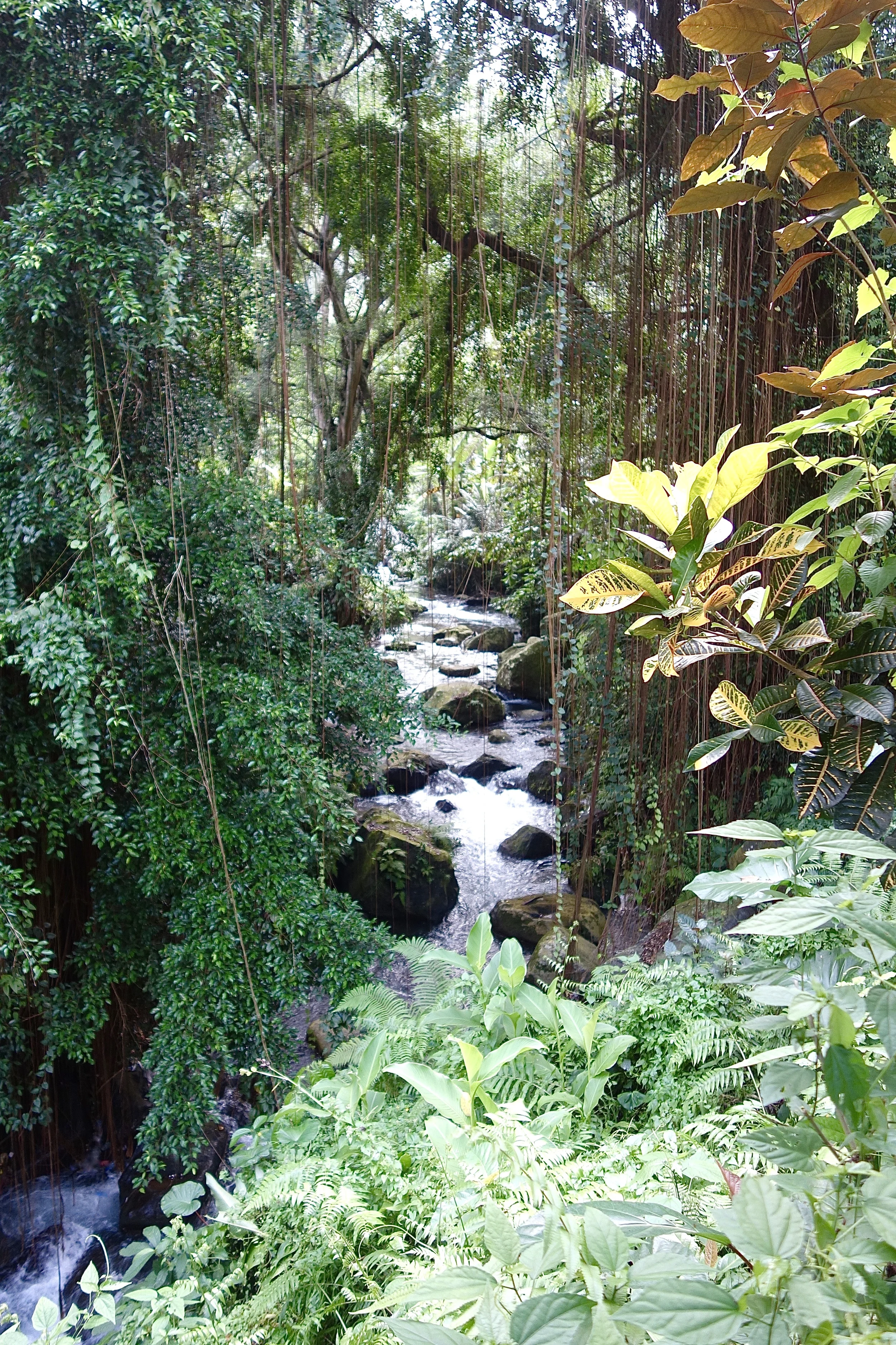 DREAM STREAM / GANUNG KAWI