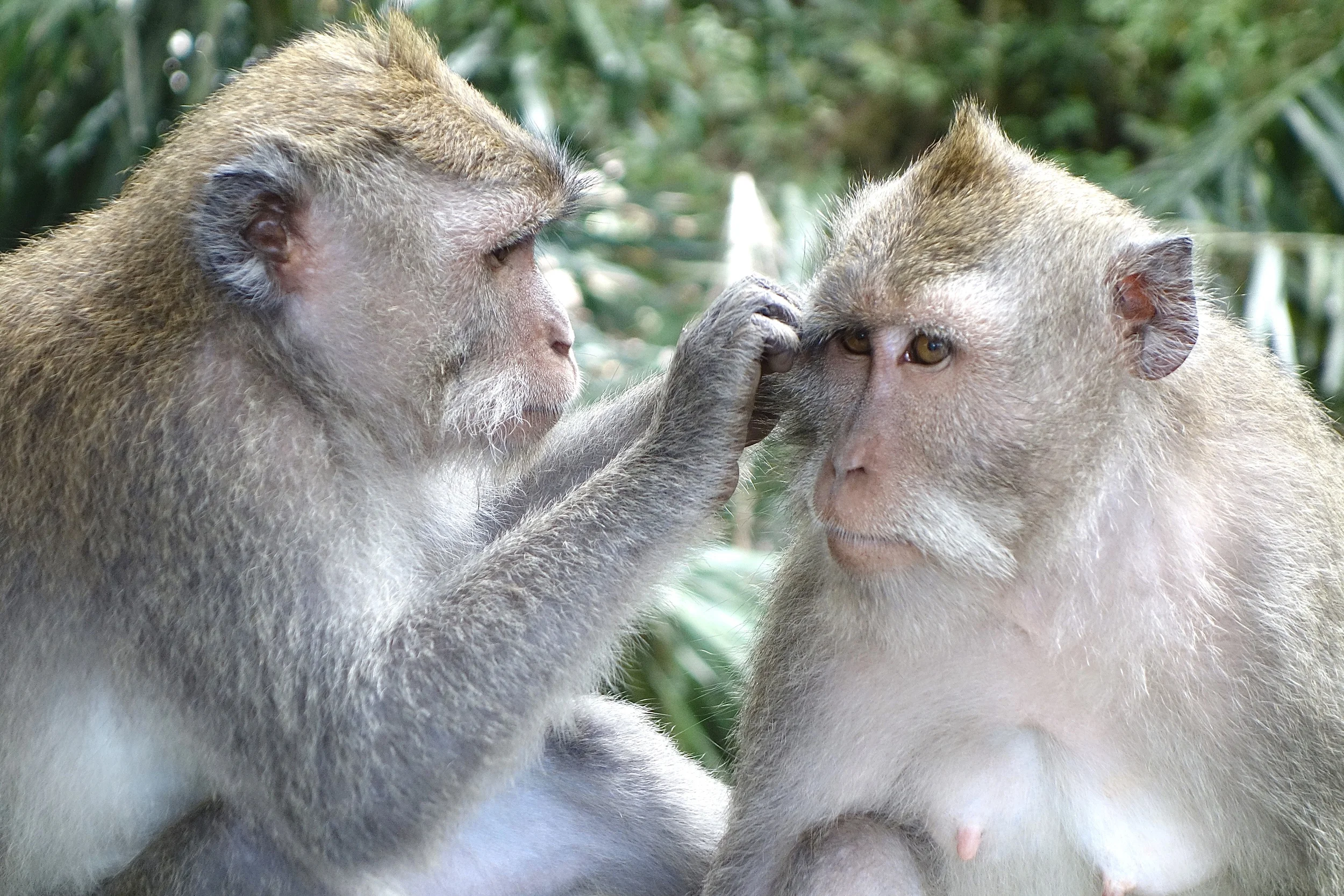 THE ACT OF TAKING CARE OF ONE ANOTHER