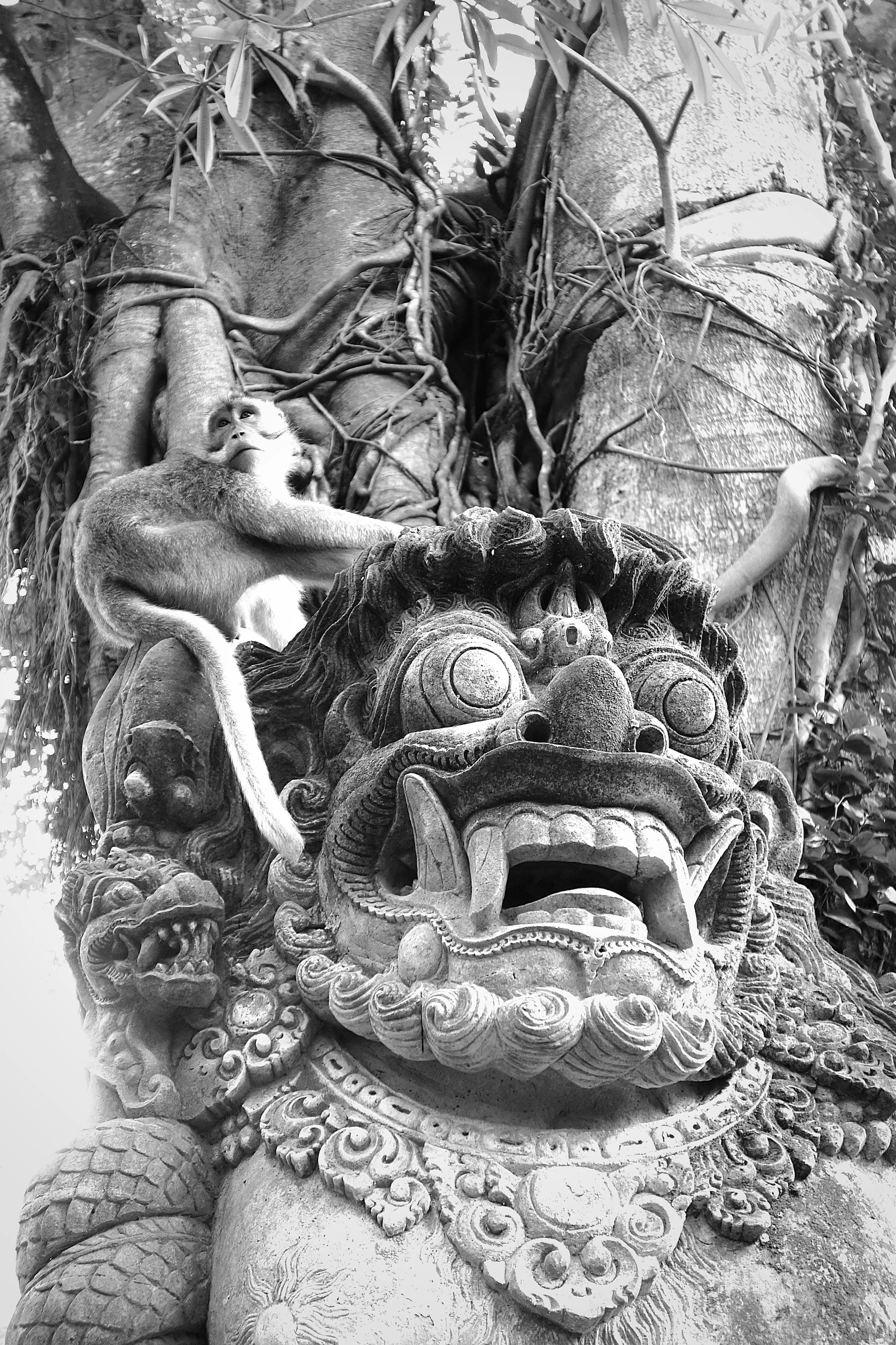 BARONG ENTHRONED MACAQUE