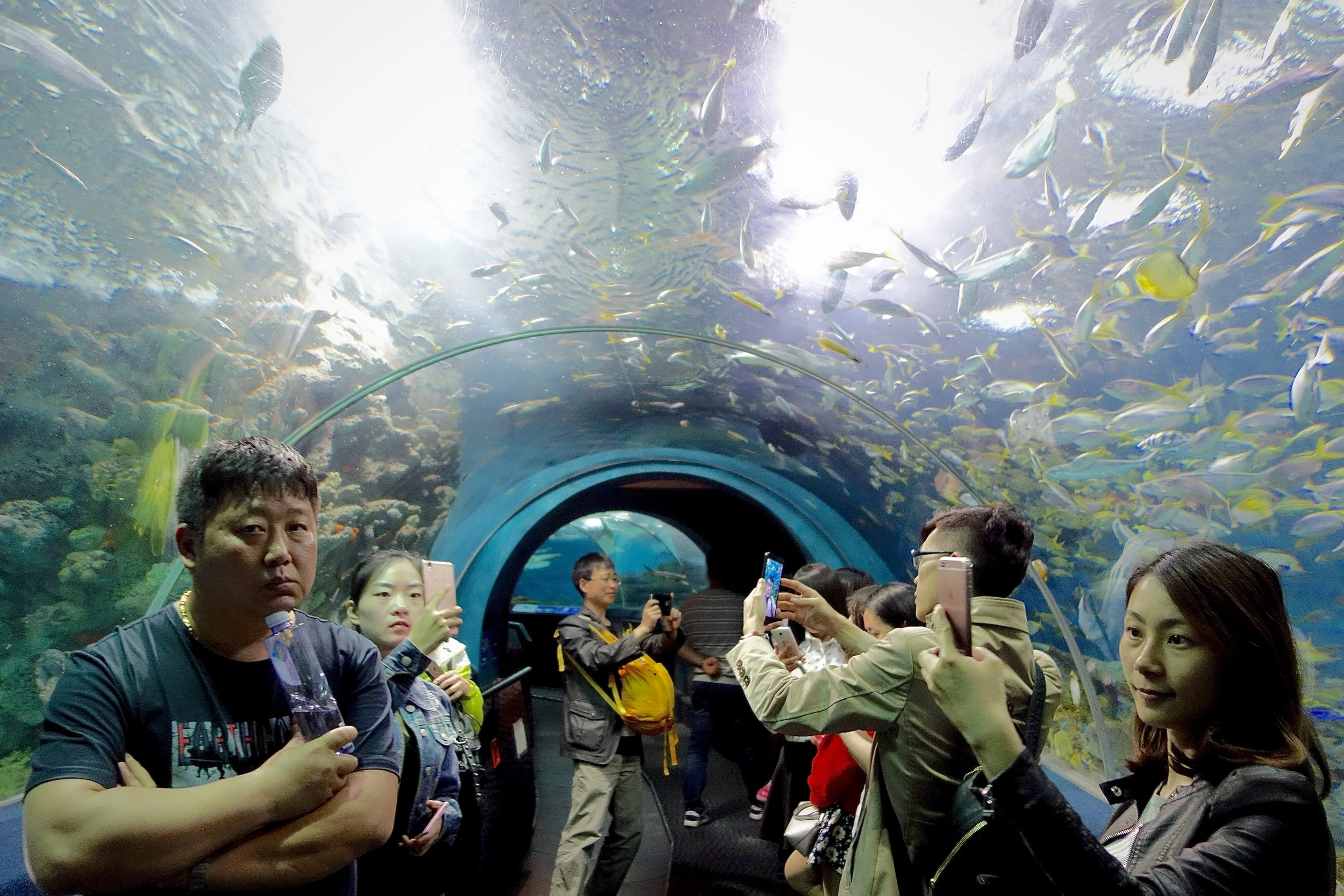 VIEW THROUGH THE SEA OF BULLSHIT