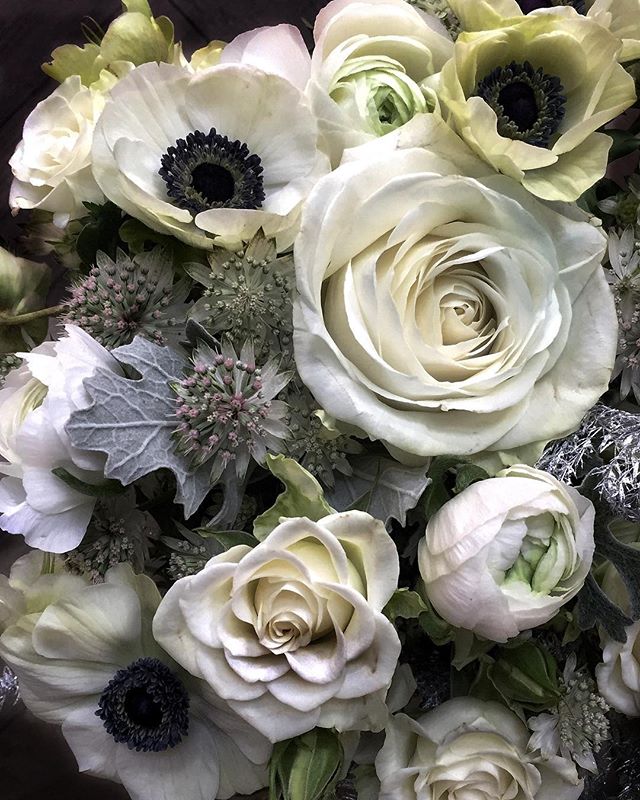 Winter whites....these flowers seem rather fitting as the weather has taken a wet, windy and wintery turn this weekend. Hope you’ve all had a good one whatever the weather! (that’s enough alliteration for now)