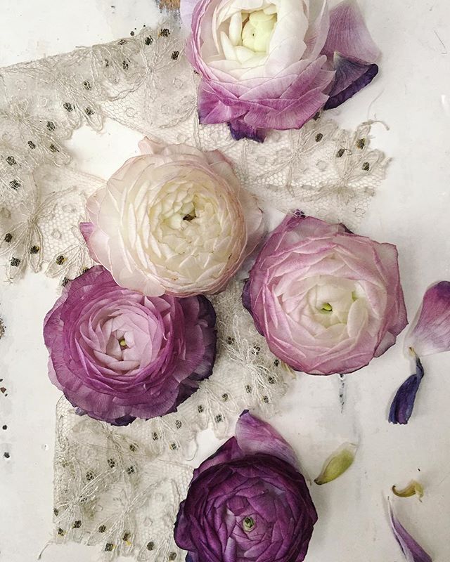 Thank you so much lovely people for all your generous and kind comments on my last post. I was quite blown away by the response! (or maybe I hit the insta algorithm jackpot 😁) Wishing you all love and a Happy Valentine’s Day! 💗
