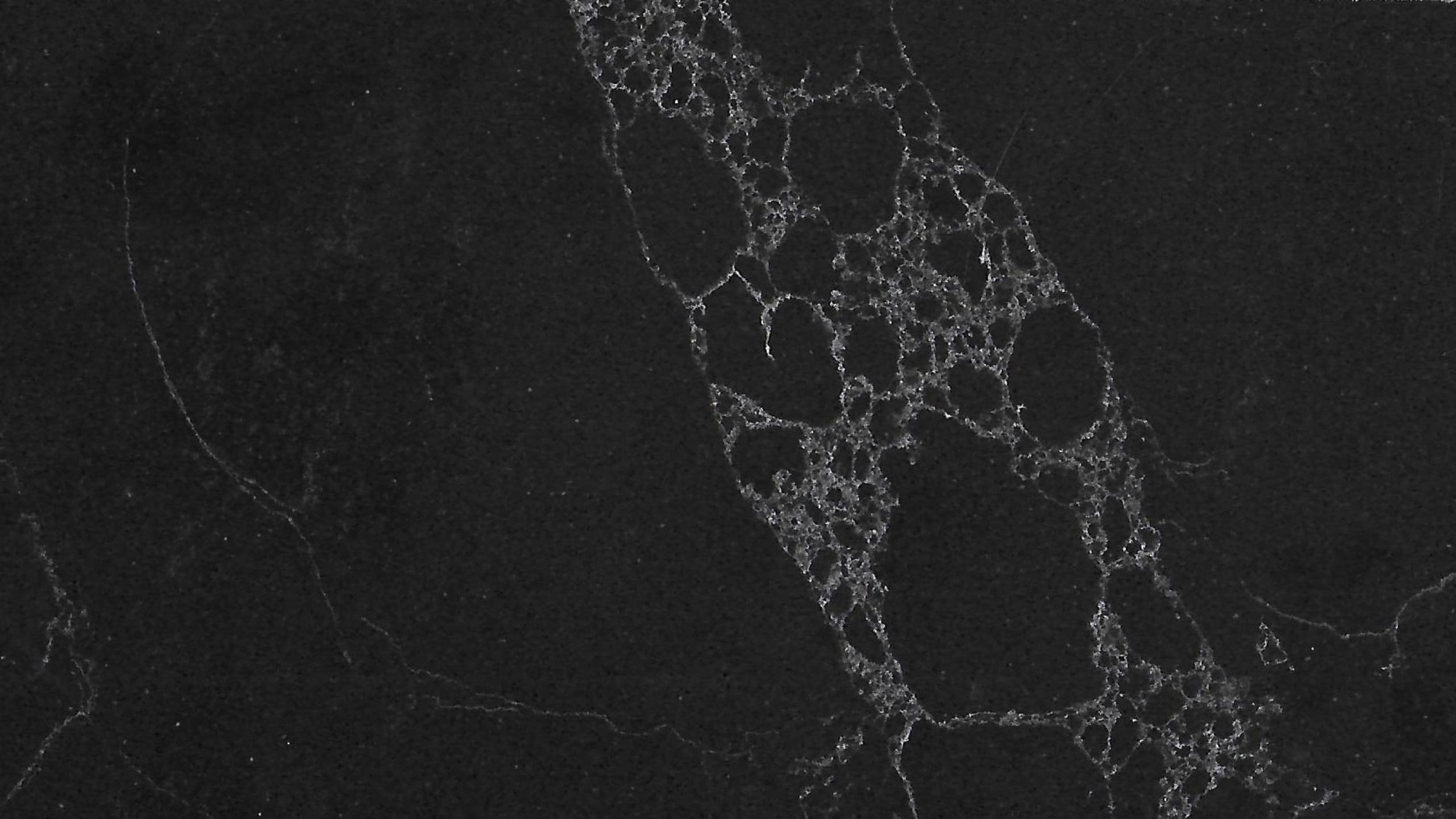 Tebas Close up Web.jpg