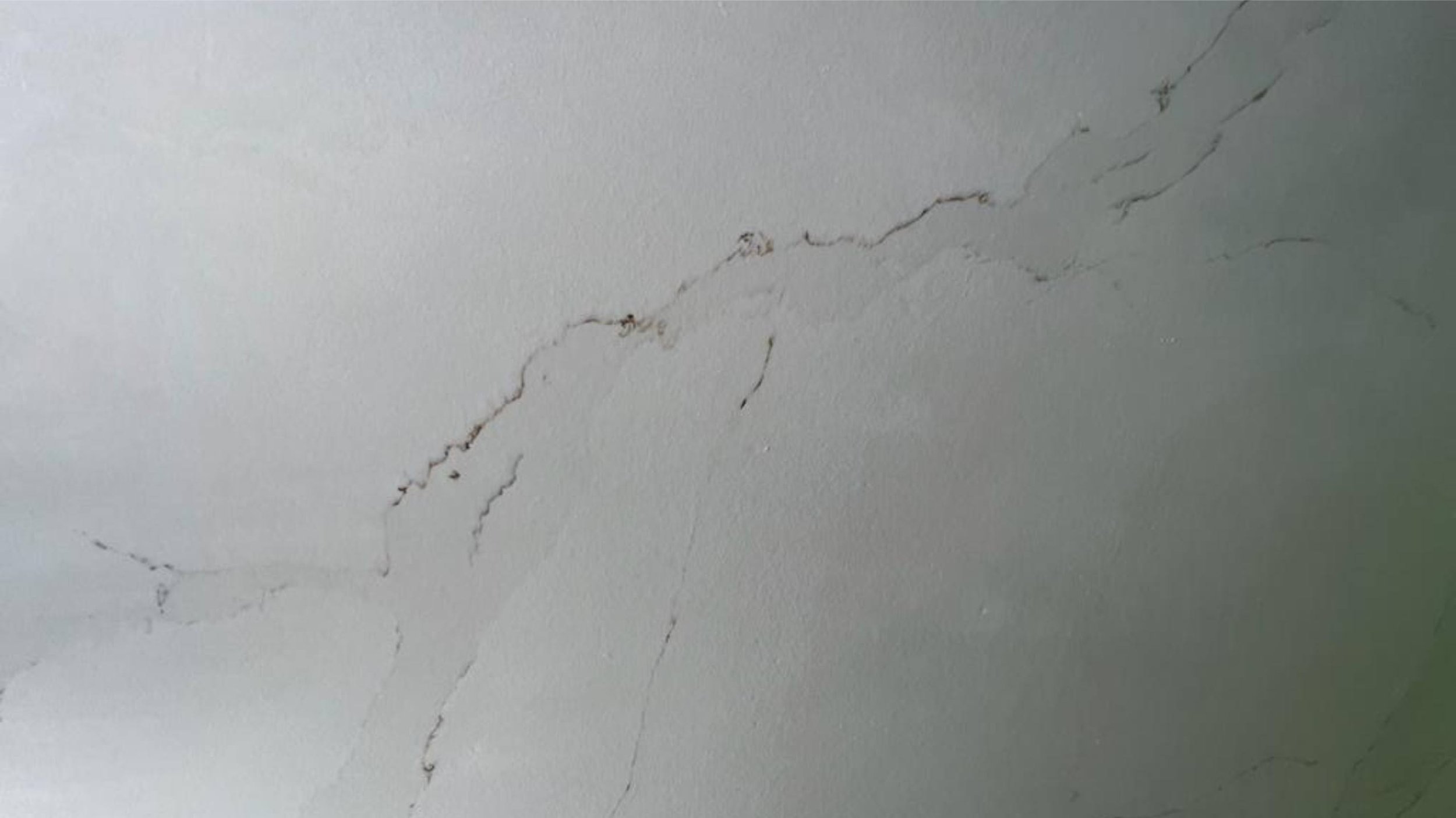 Apollonia Ninham Quartz.jpg