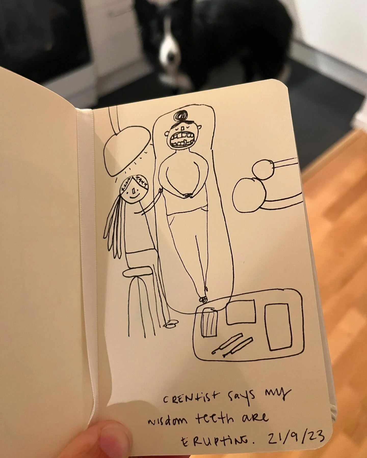 Lololol happy nearly one year anniversary to this memorable dentist visit 😂 and happy almost anniversary of getting my first wisdom tooth removed 😭🦷

I love rediscovering these assorted little doodles I leave for myself in random notebooks. 

#cre