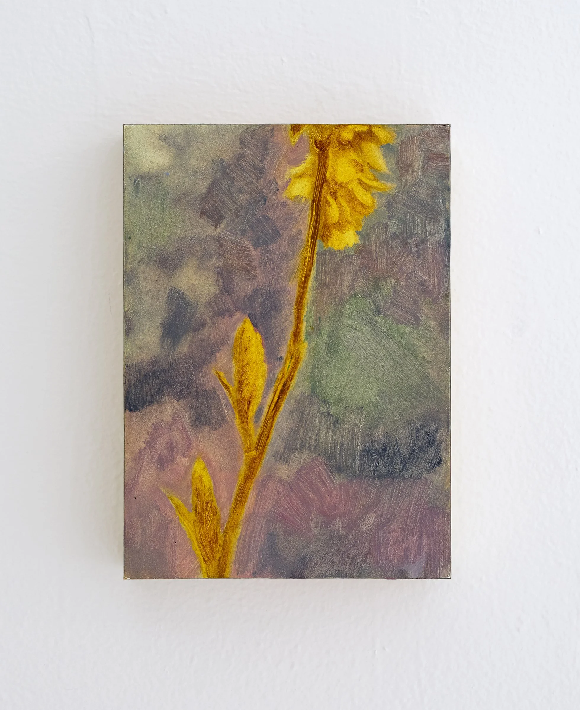As spring flowers bloom (study)