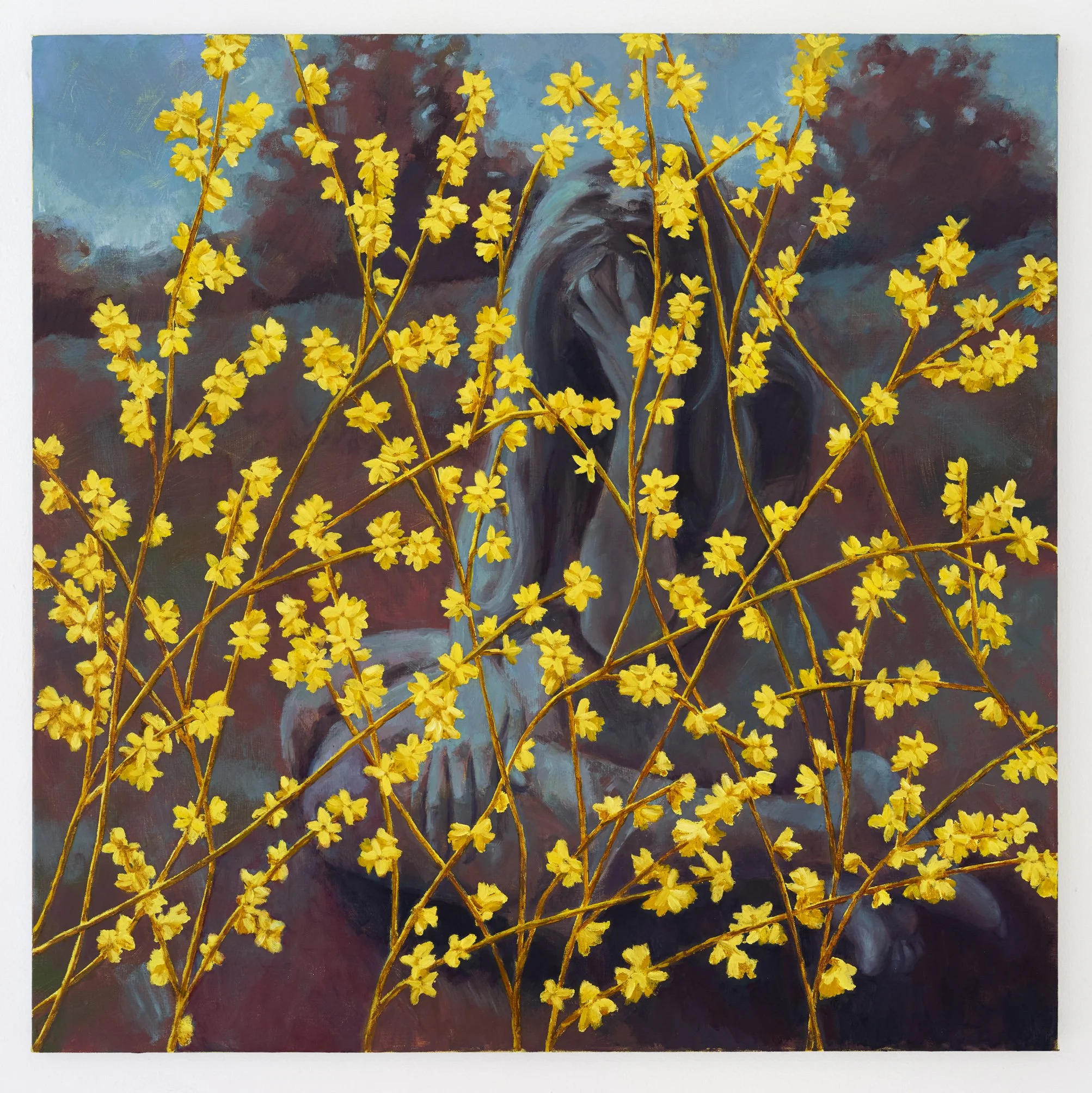 More yellow (forsythia)