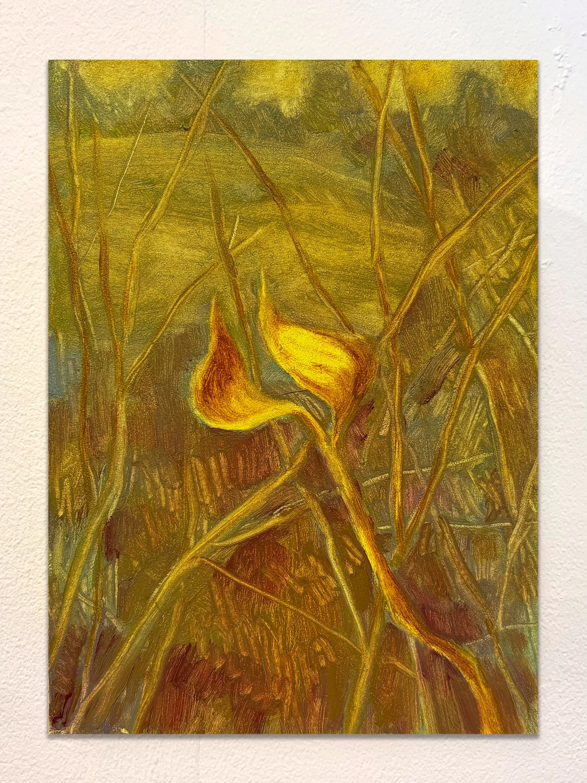 Winter dogwood, 13 x 18cm, oil on gessobord