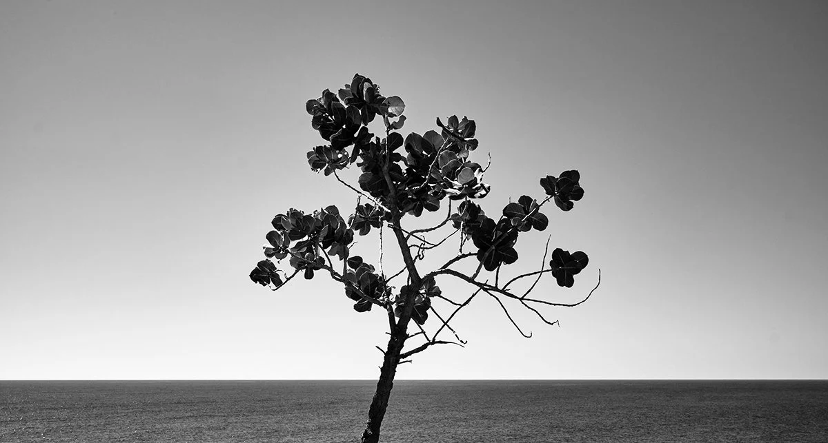 _P310609alt copy.jpg