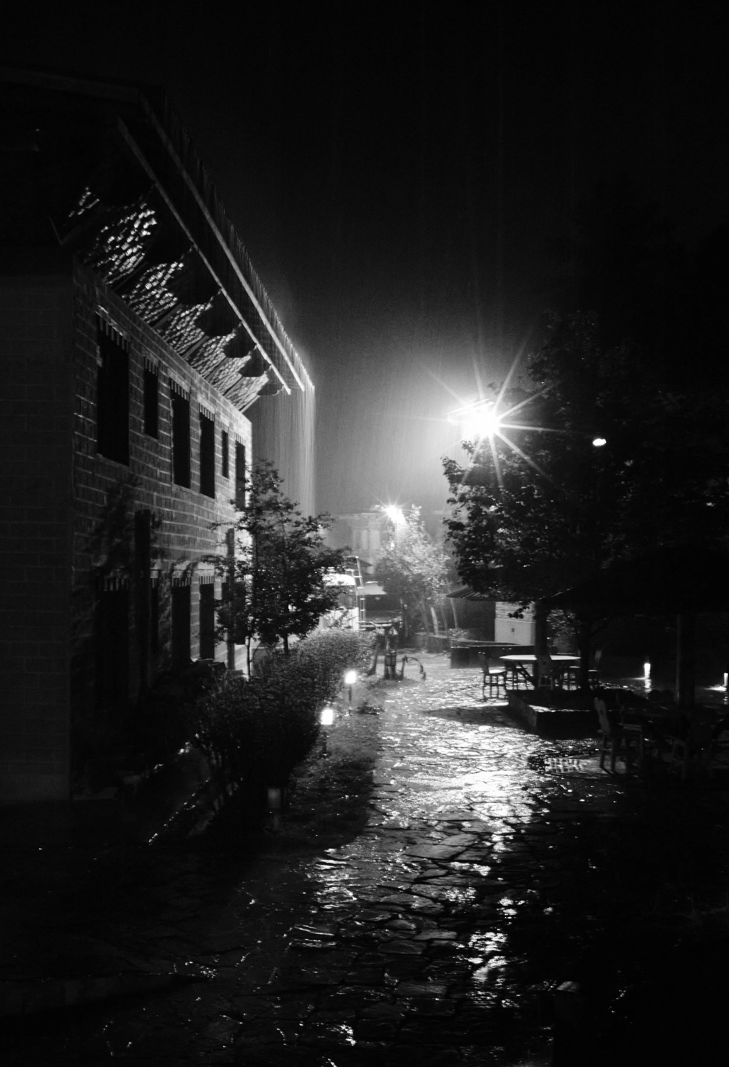 _P314765sm.jpg