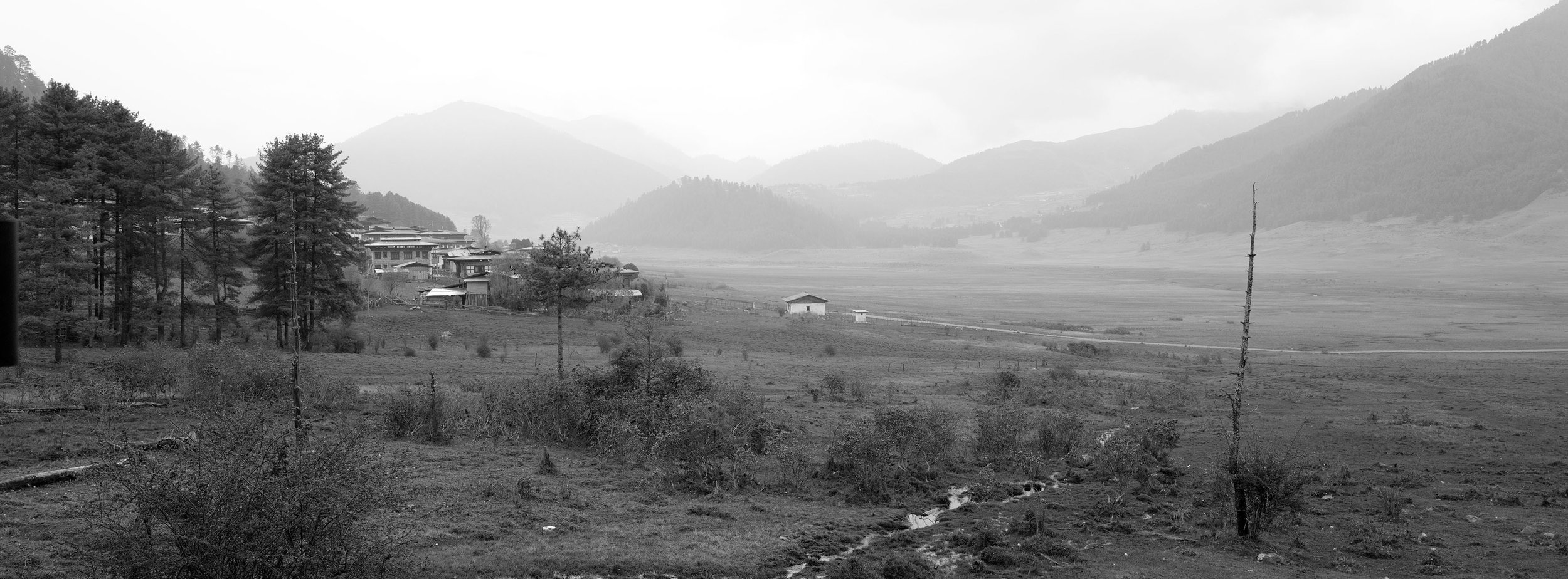 _RF11912bwsm.jpg