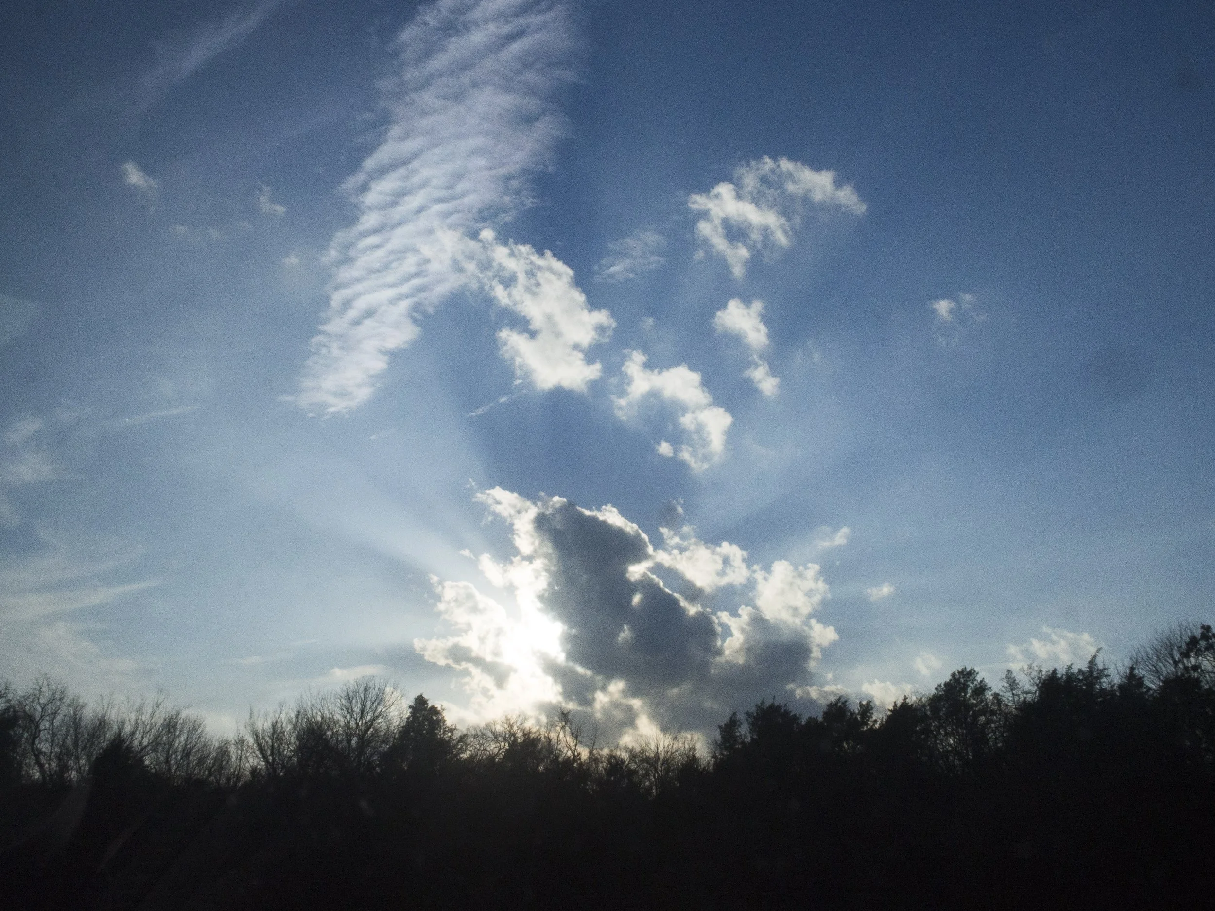 f22, 1/500, ISO 1600. January 10, 2014