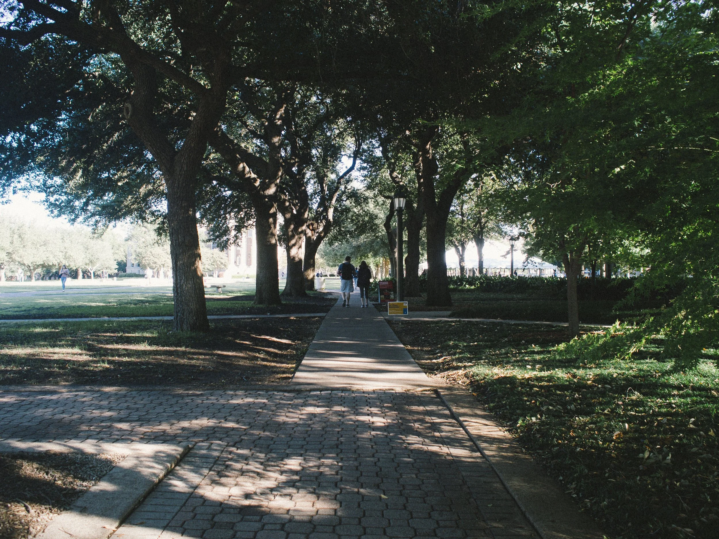 f2.8, 1/250, ISO 200. October 15, 2014